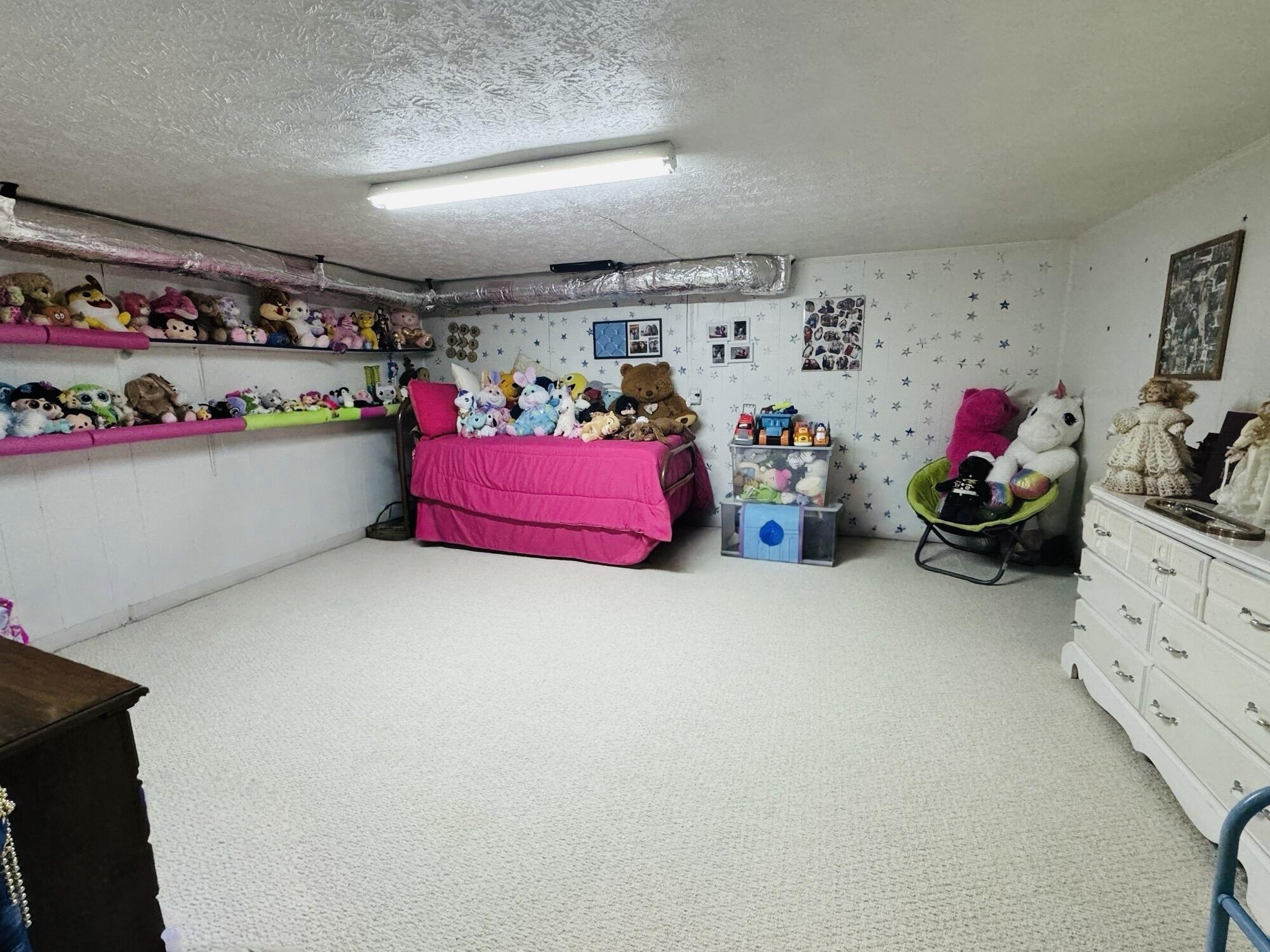 1069 Meadows Grove Road Property Photo 20