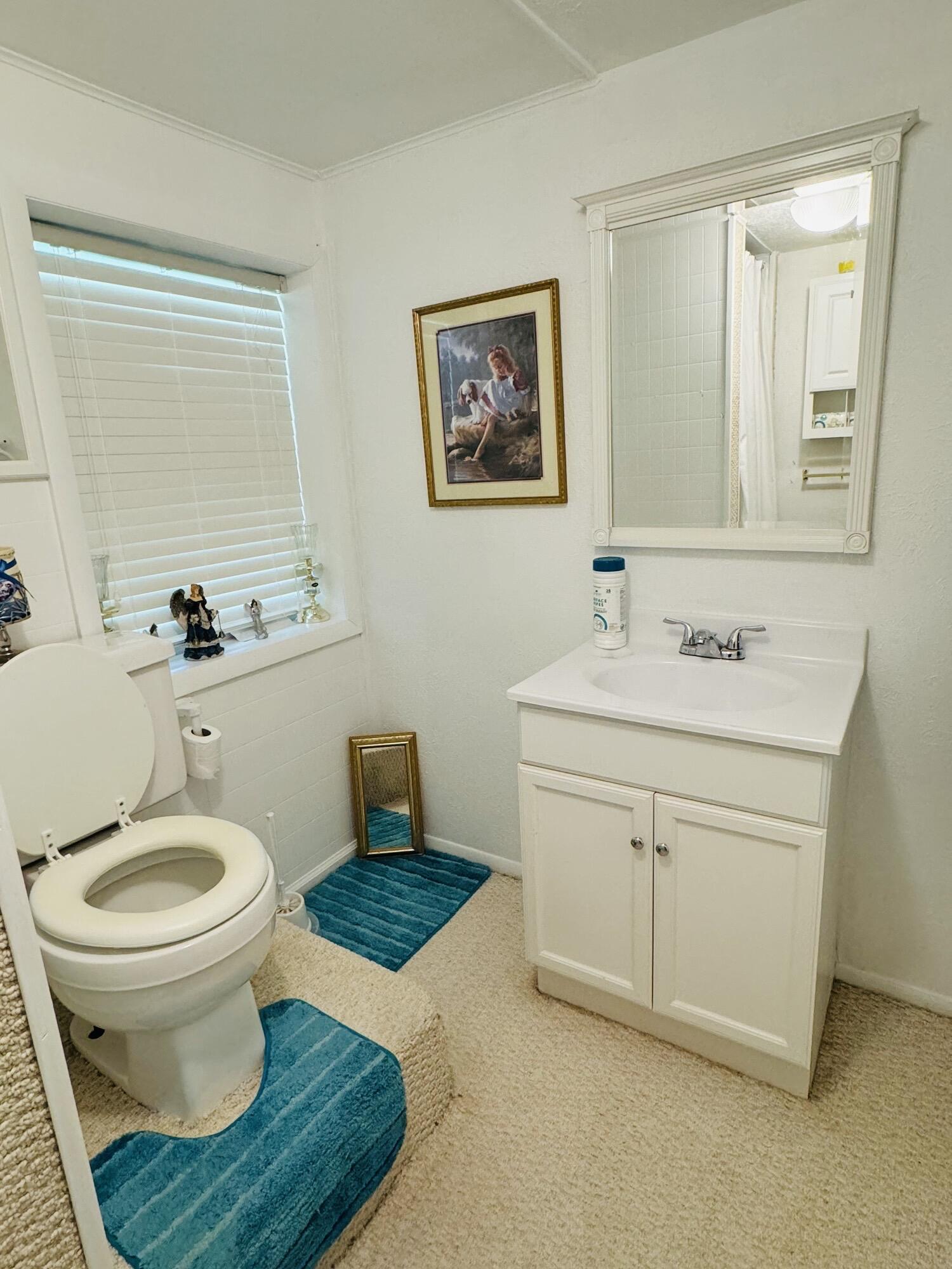 1069 Meadows Grove Road Property Photo 22