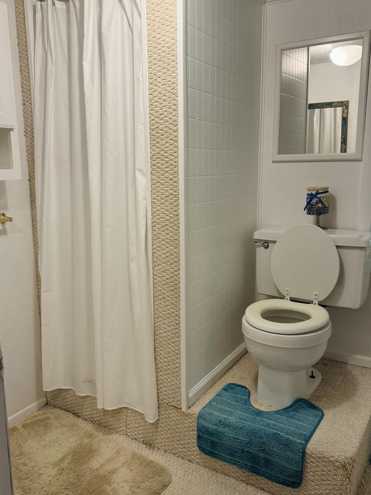 1069 Meadows Grove Road Property Photo 23