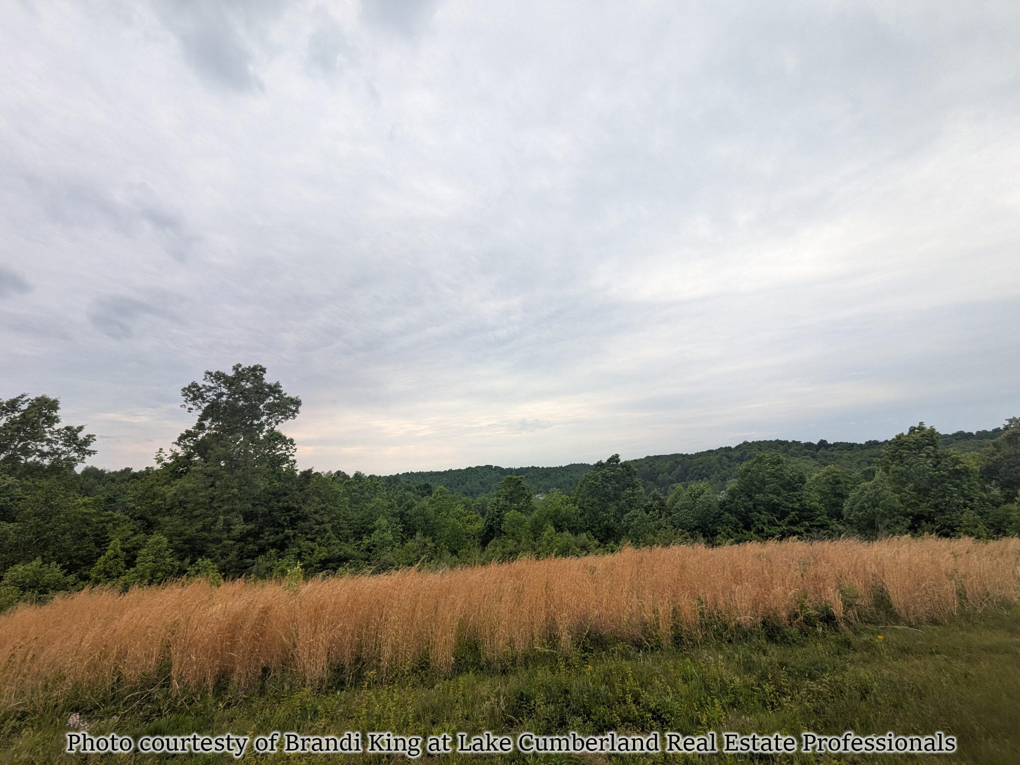 2455 Pierson Fork Road Property Photo 1