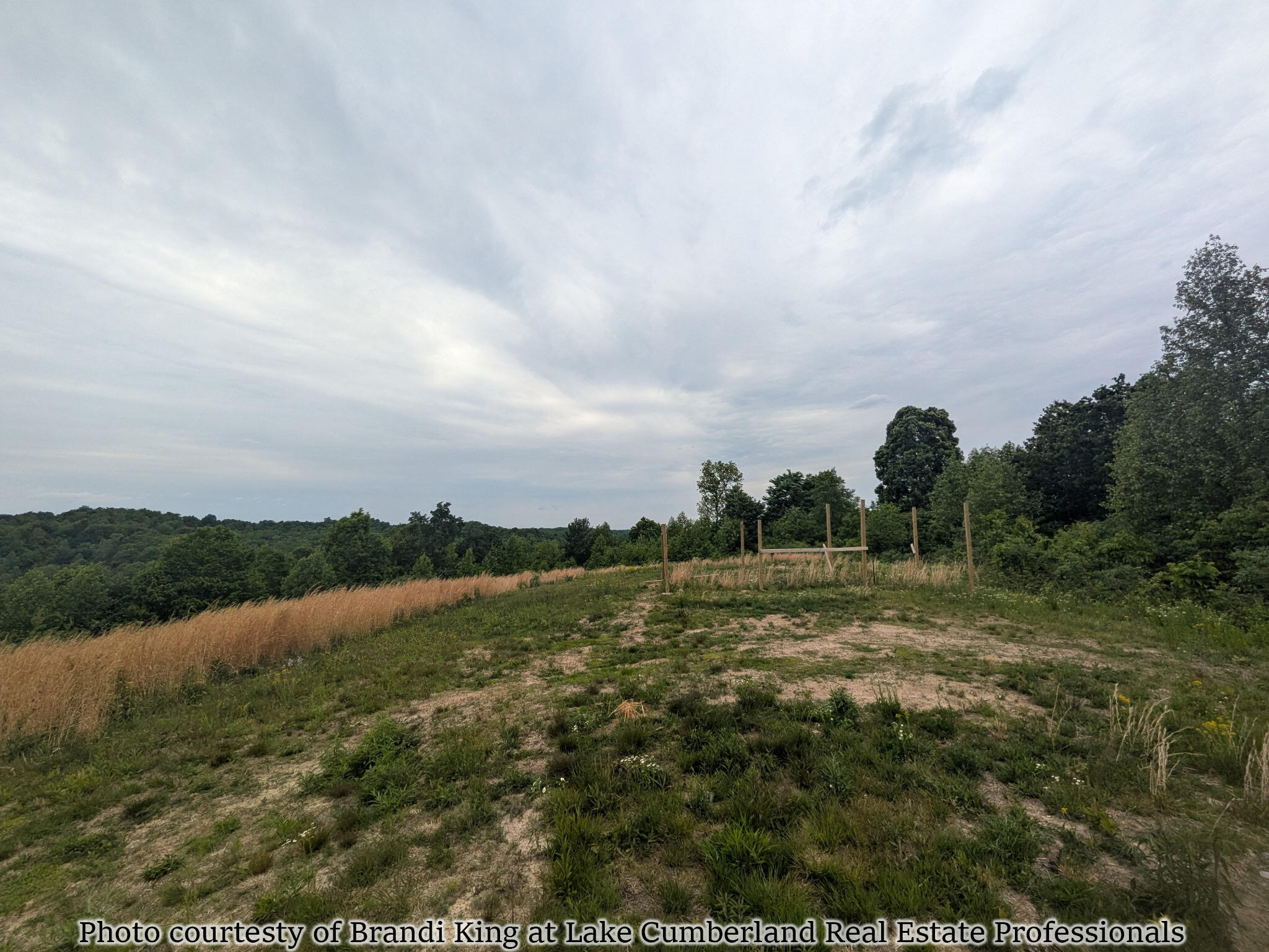 2455 Pierson Fork Road Property Photo 2