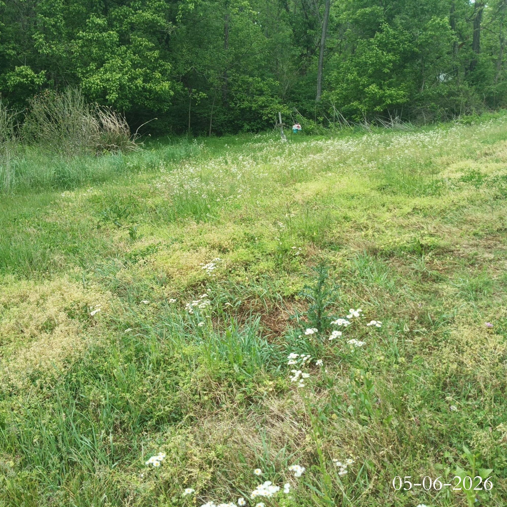 2933 Ky Route-1092 Property Photo 7