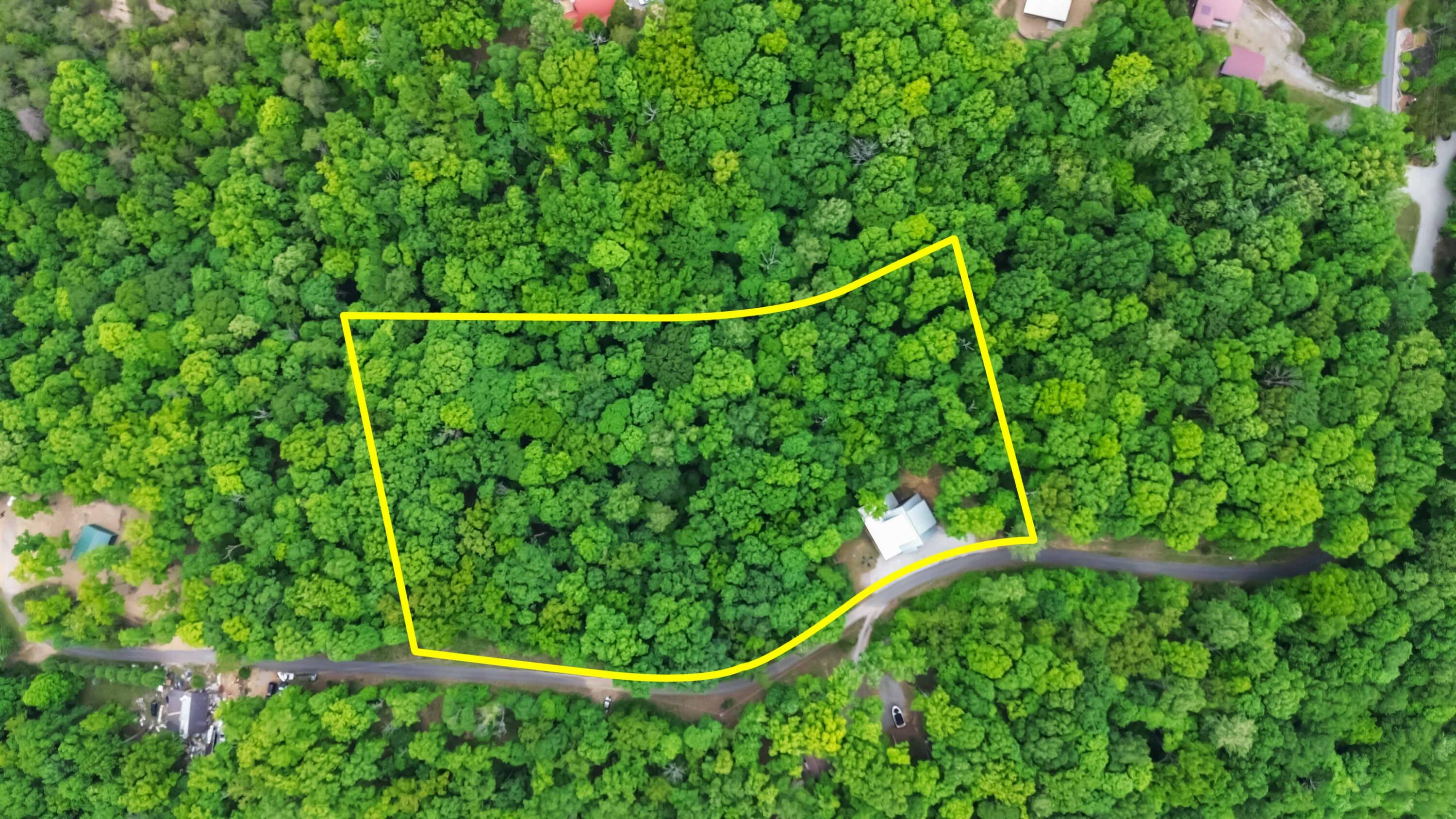 280 Timber Ridge Road Property Photo 7