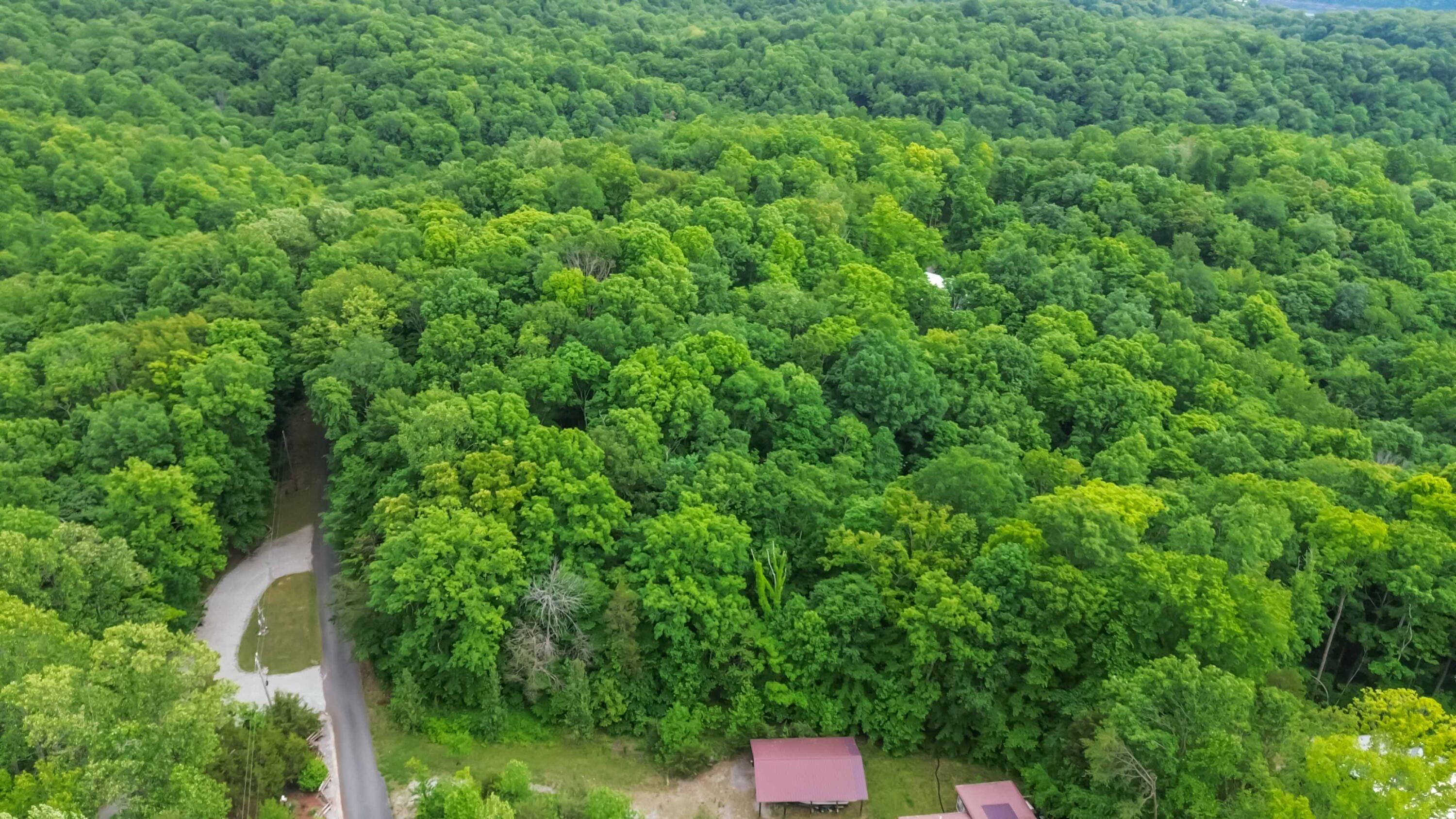 280 Timber Ridge Road Property Photo 64