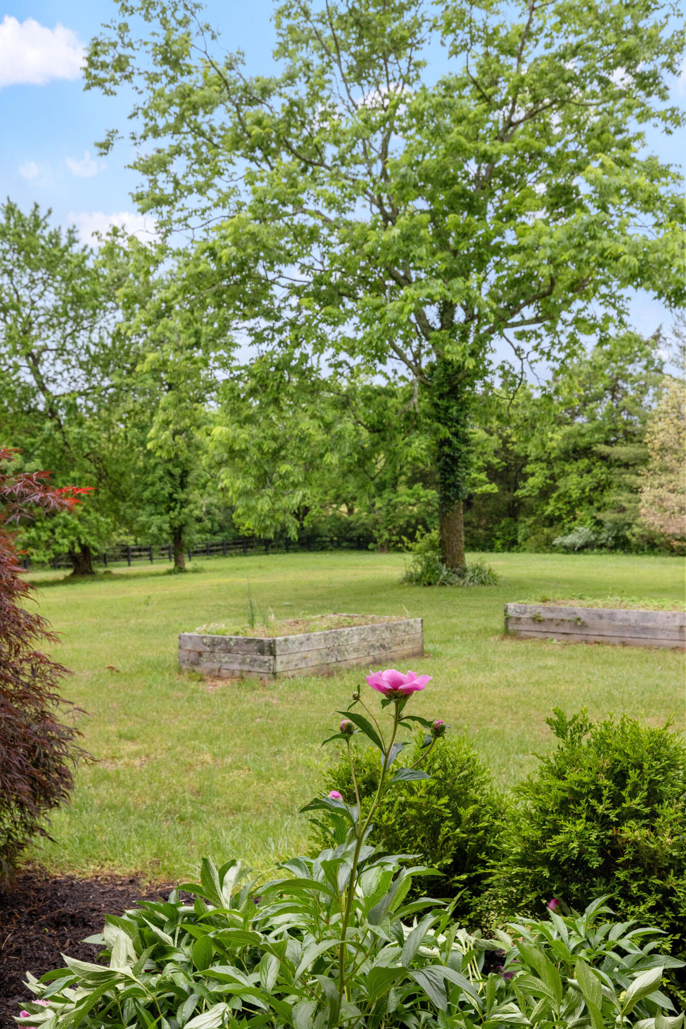 5108 Fords Mill Road Property Photo 69