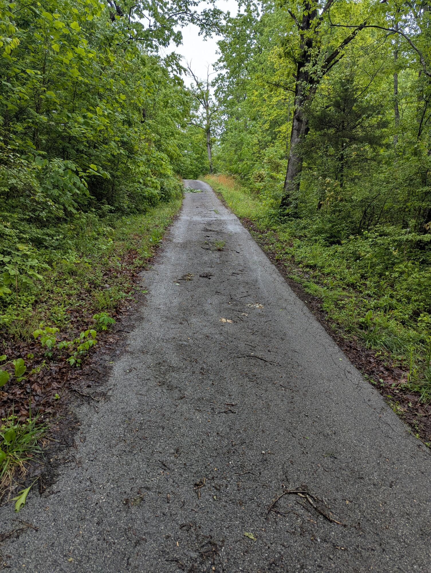 10970 Mcwhorter Road Property Photo 2