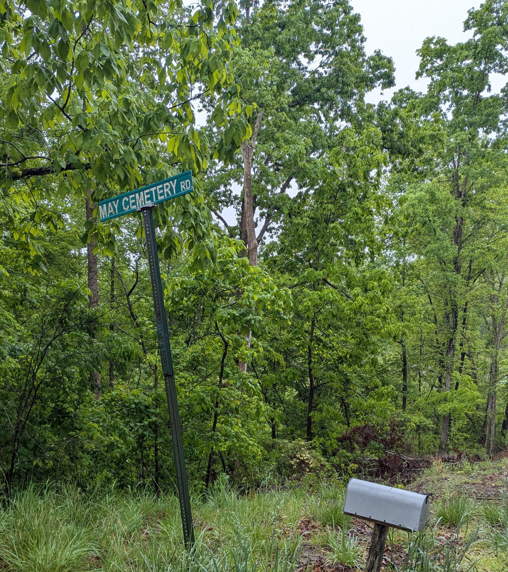 10970 Mcwhorter Road Property Photo 4