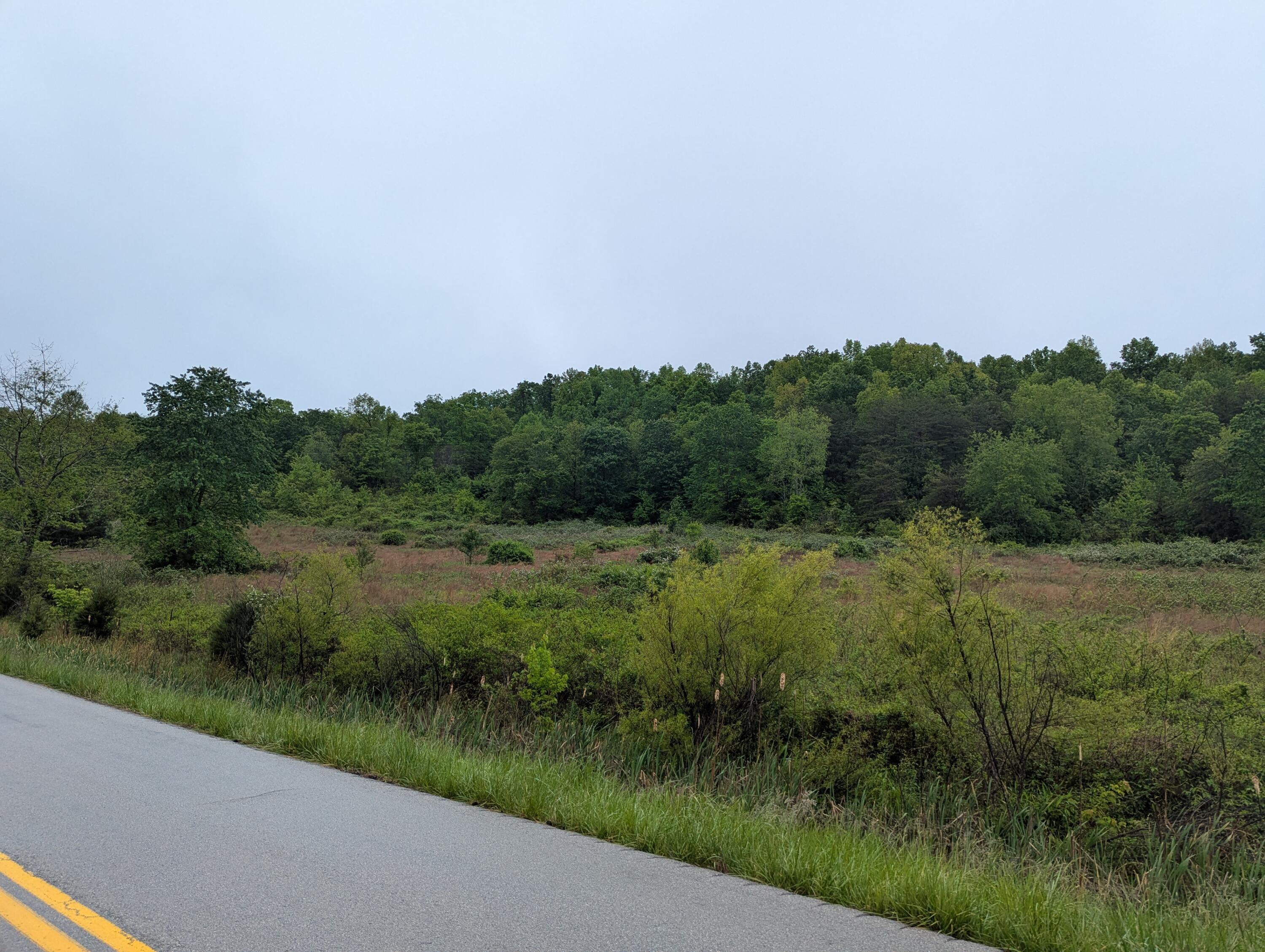 10970 Mcwhorter Road Property Photo 24