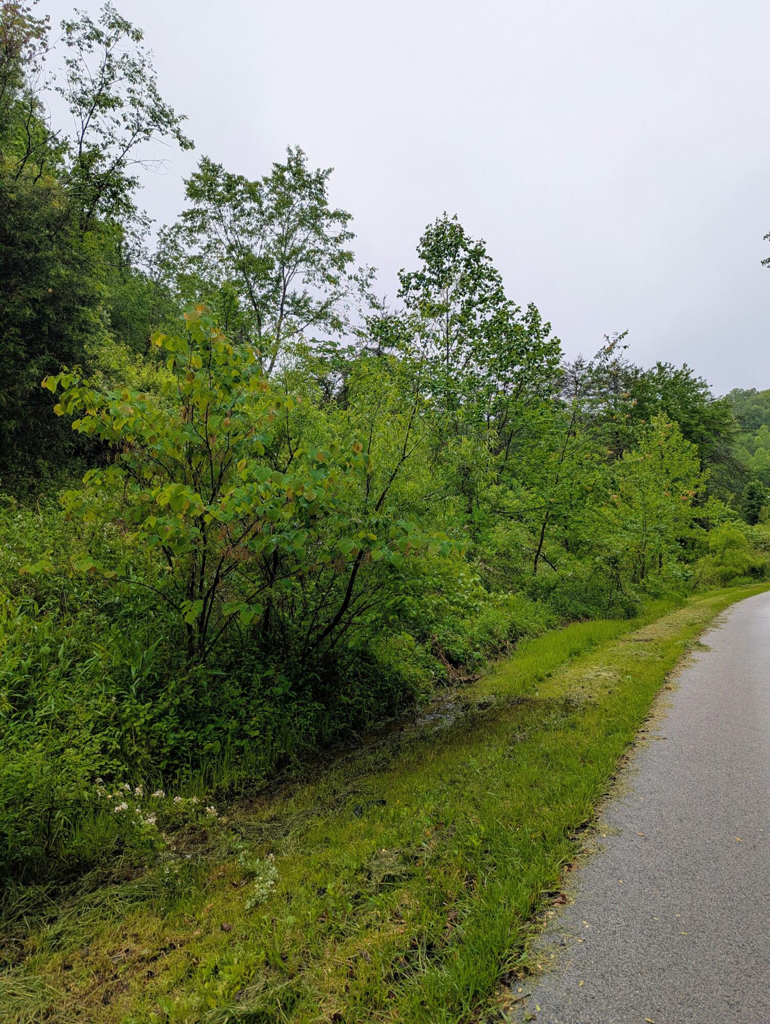 10970 Mcwhorter Road Property Photo 25