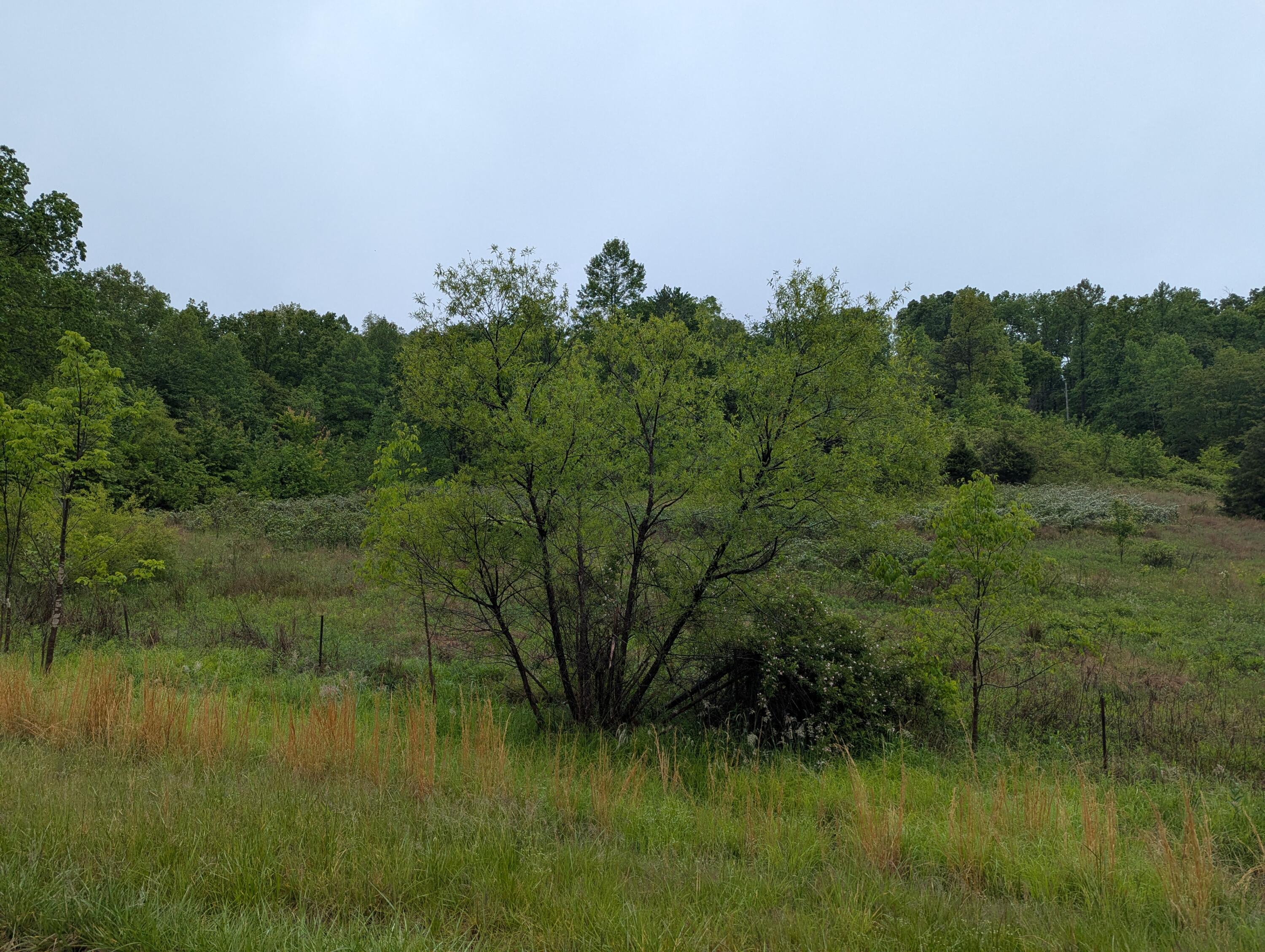 10970 Mcwhorter Road Property Photo 26