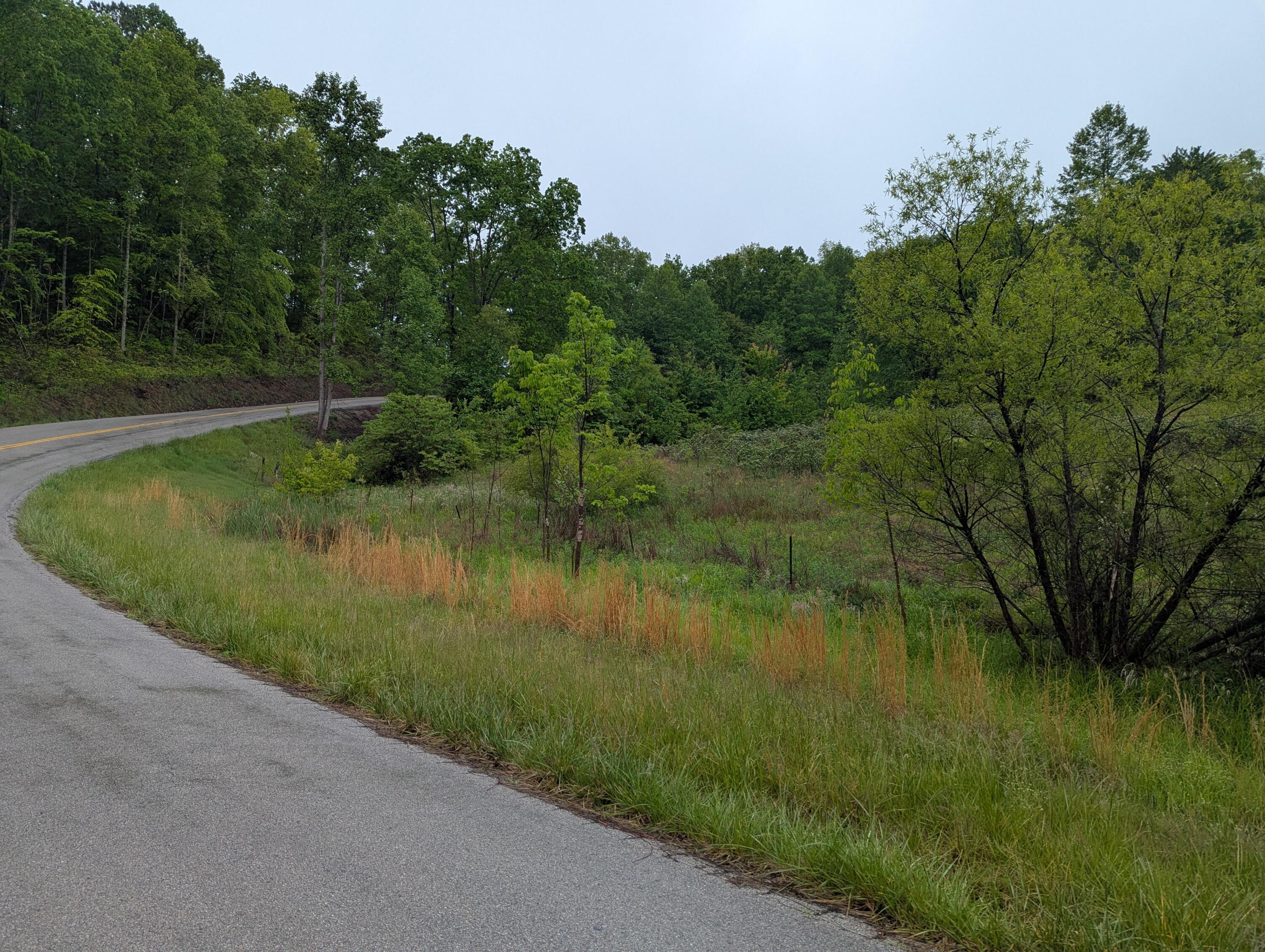 10970 Mcwhorter Road Property Photo 27