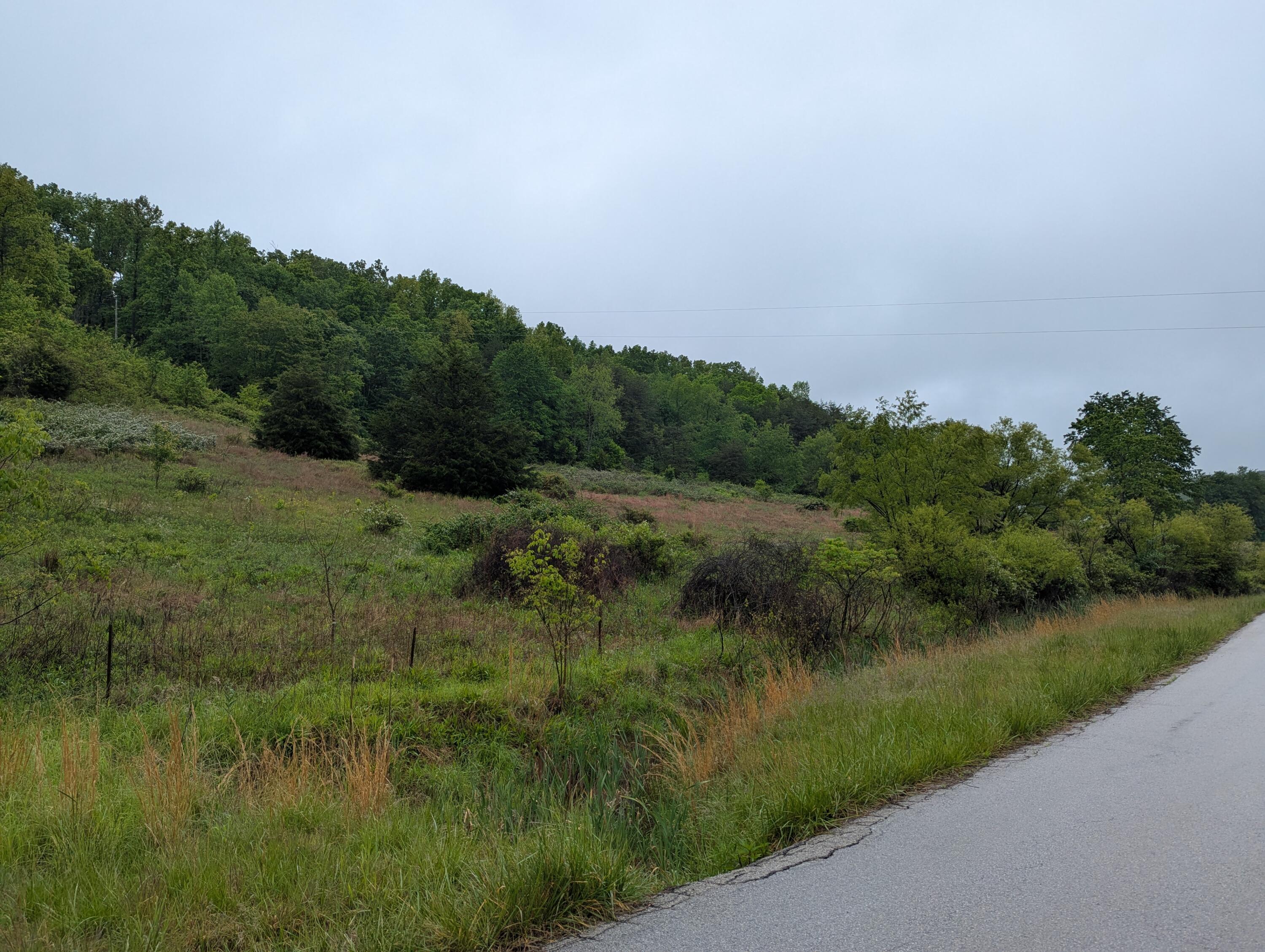 10970 Mcwhorter Road Property Photo 28