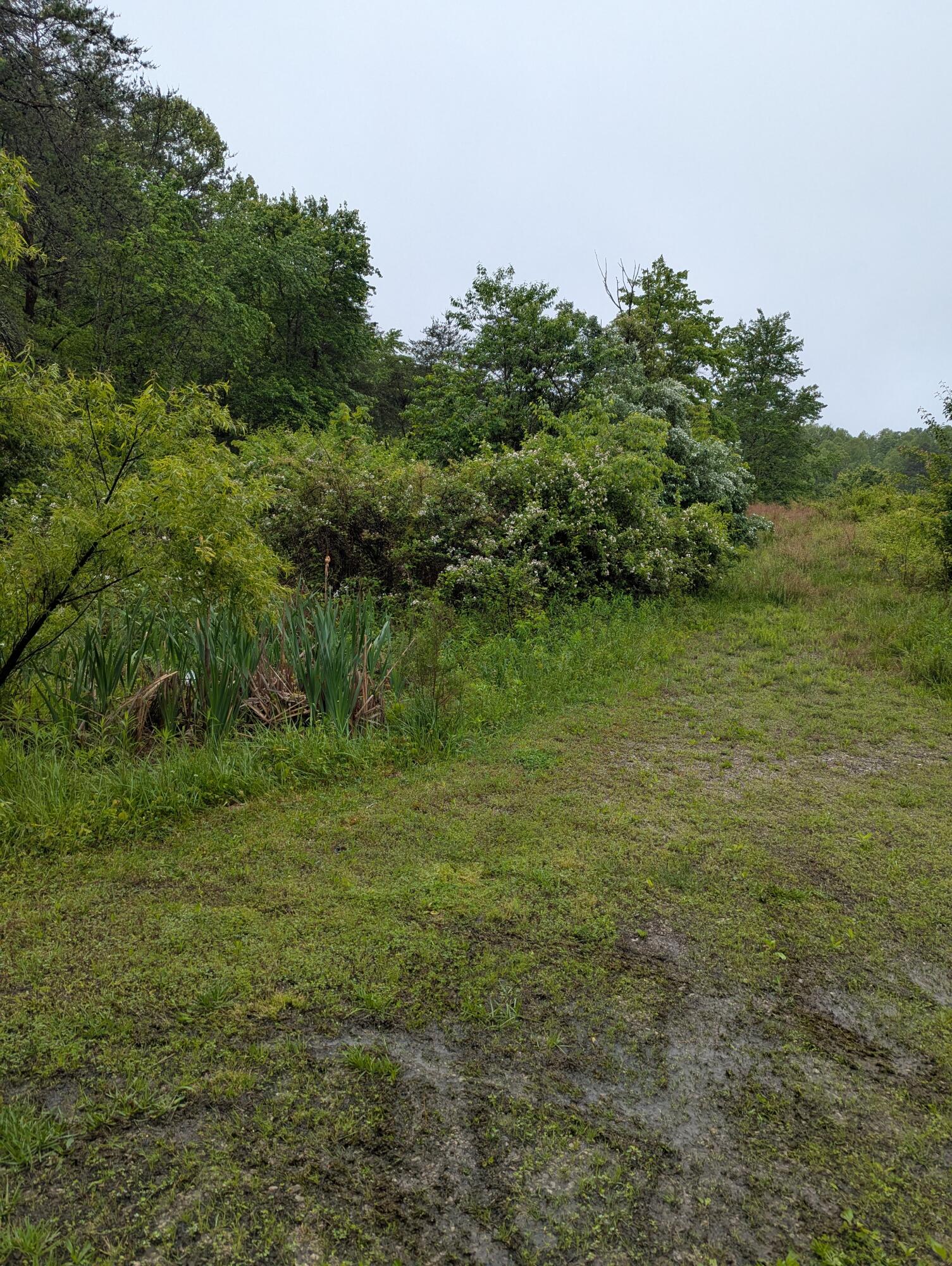 10970 Mcwhorter Road Property Photo 29