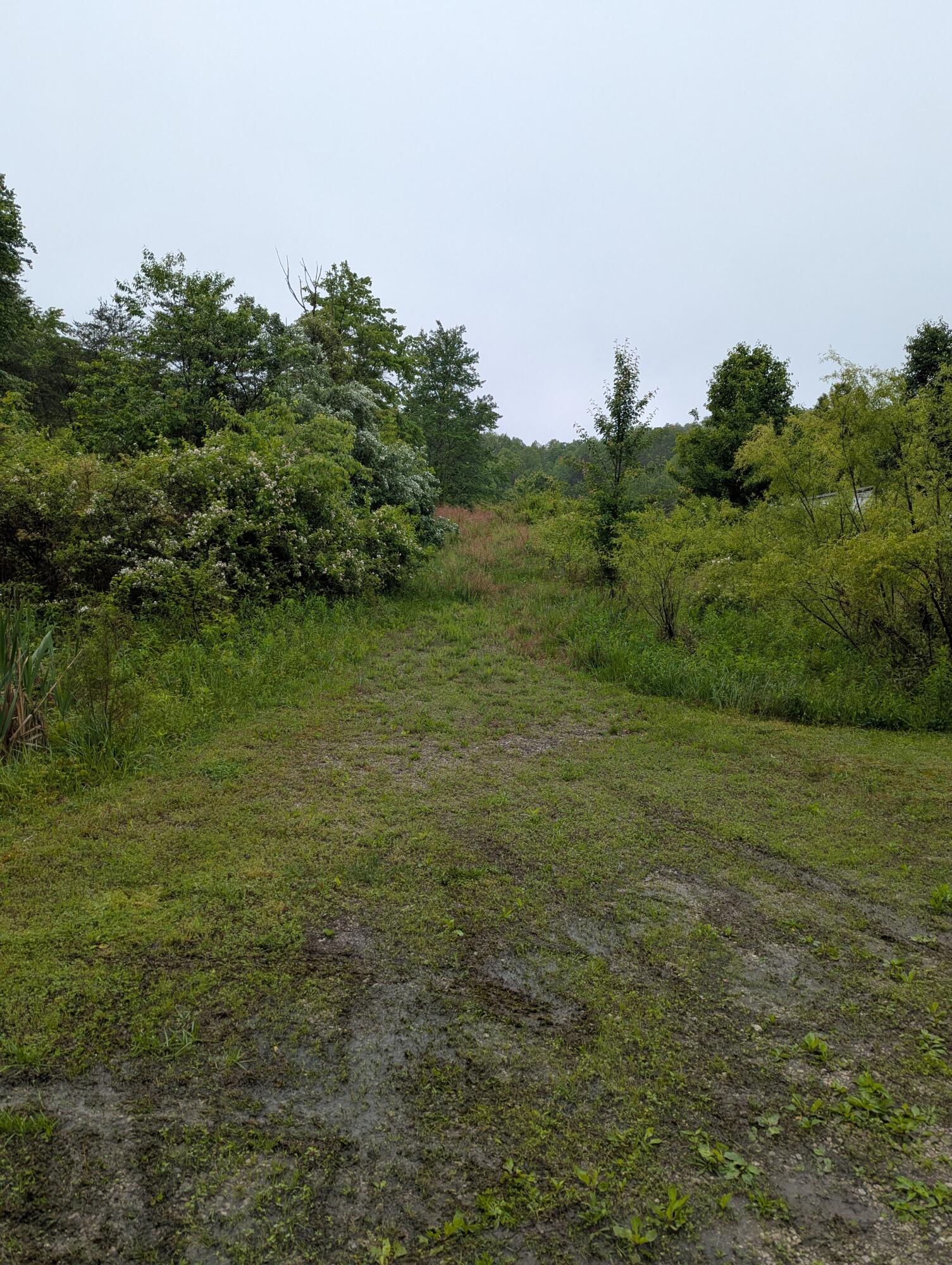 10970 Mcwhorter Road Property Photo 30