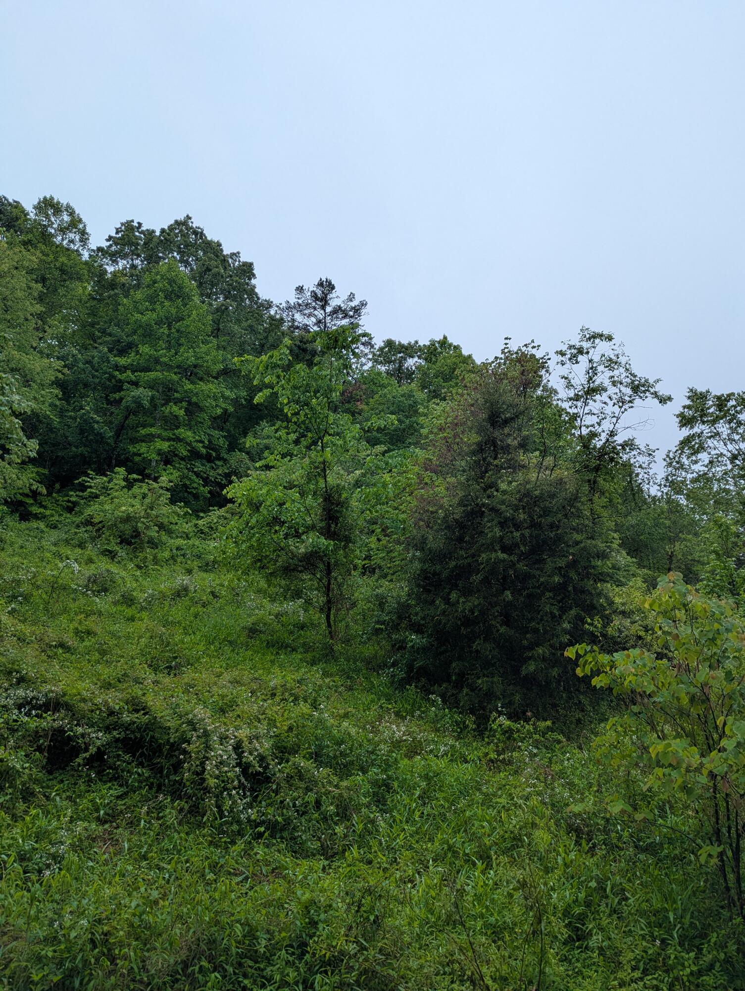 10970 Mcwhorter Road Property Photo 31