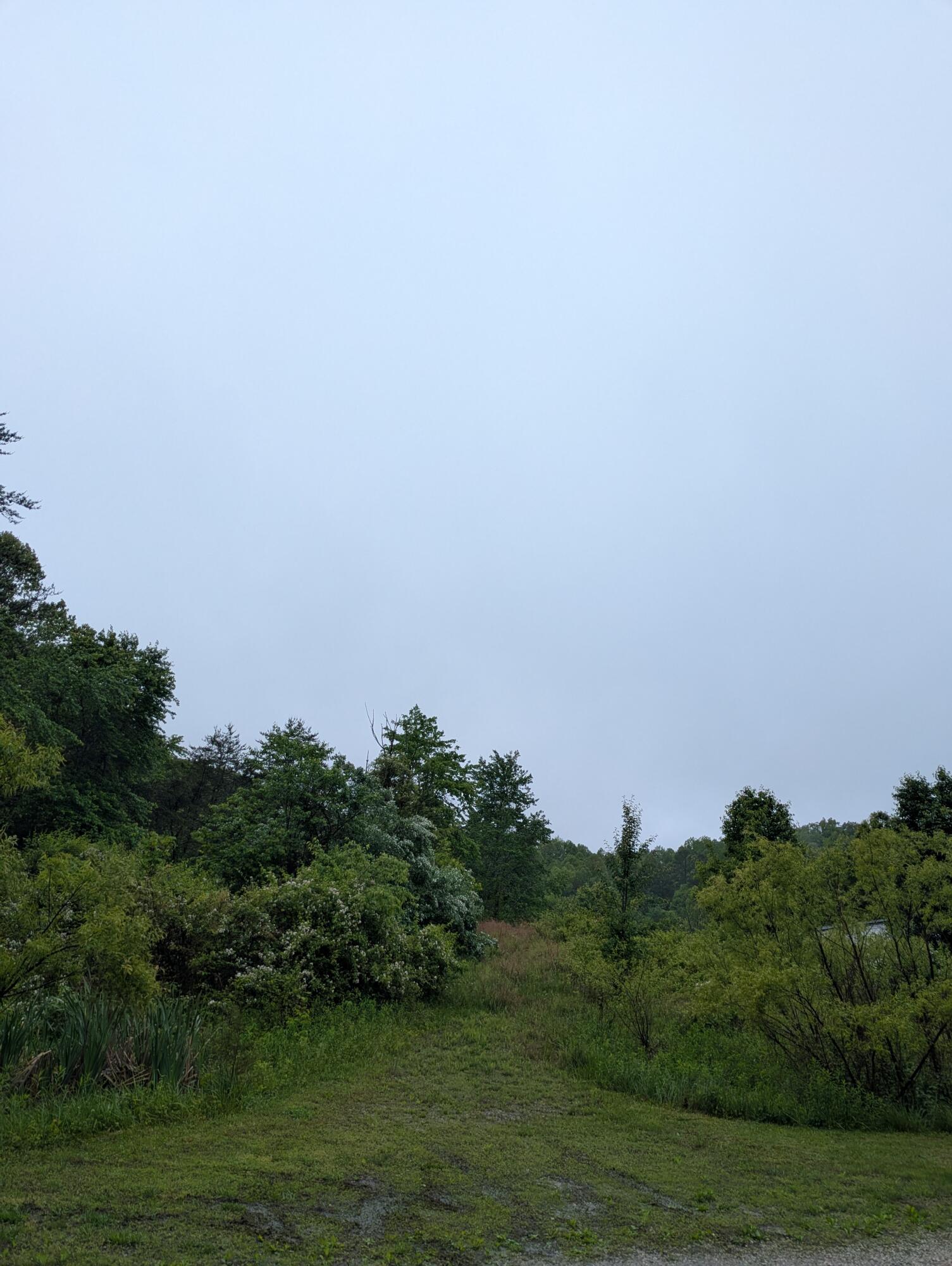 10970 Mcwhorter Road Property Photo 32