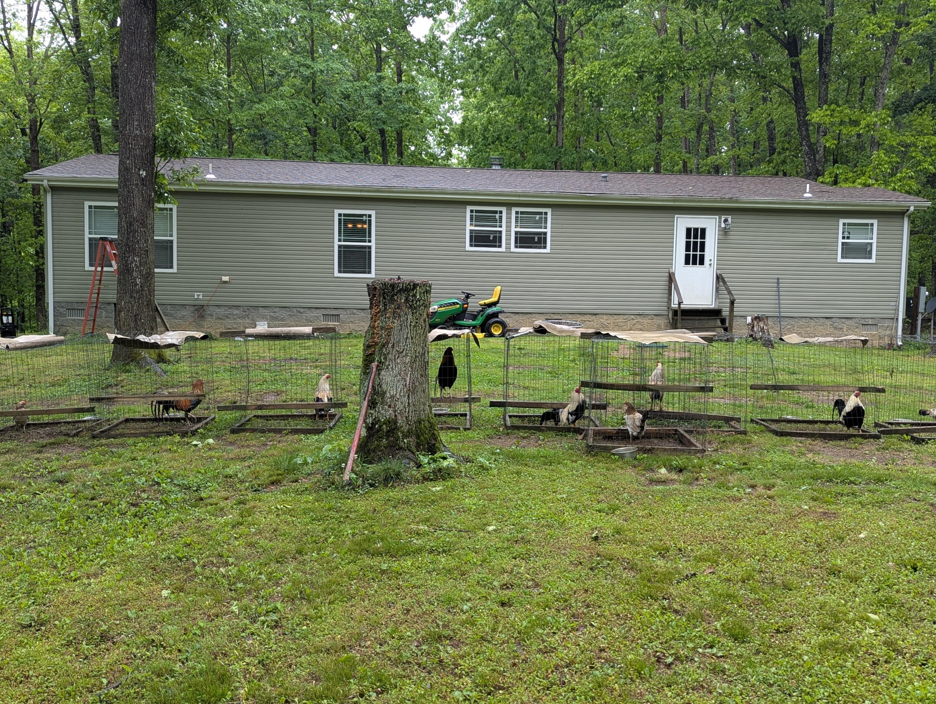 10970 Mcwhorter Road Property Photo 34