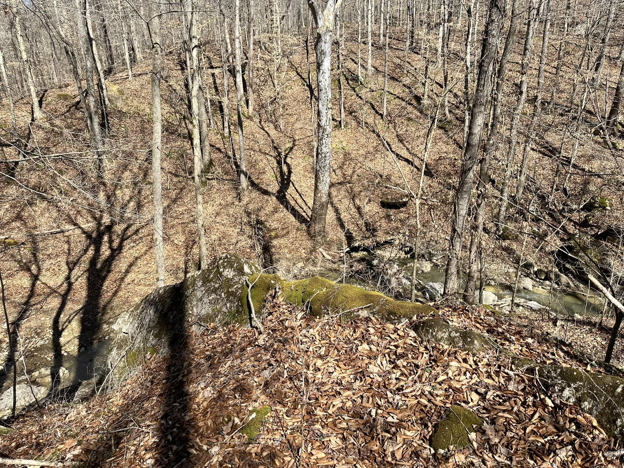 339 Cow Creek Road Property Photo 33