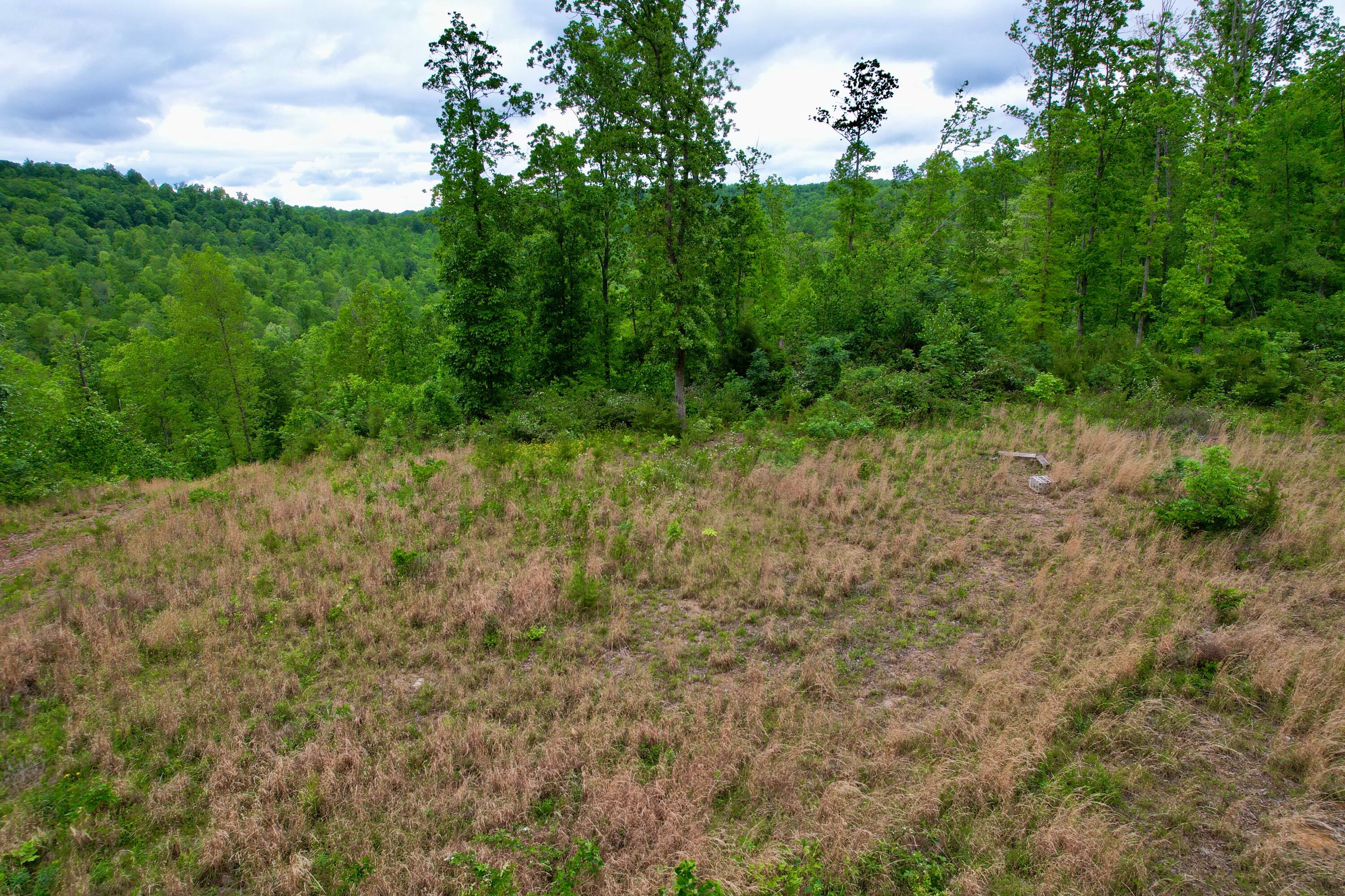 22 Buck Run Ridge Road Property Photo 2