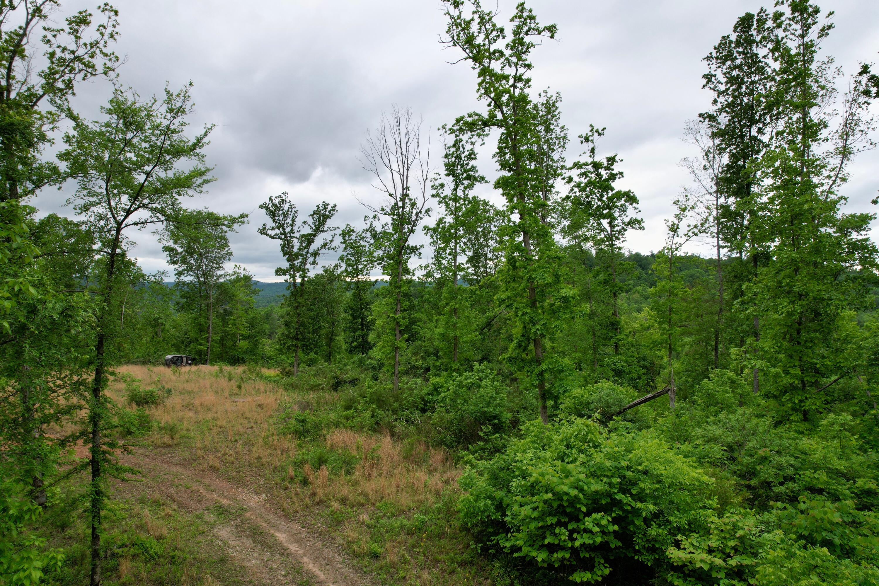 22 Buck Run Ridge Road Property Photo 3
