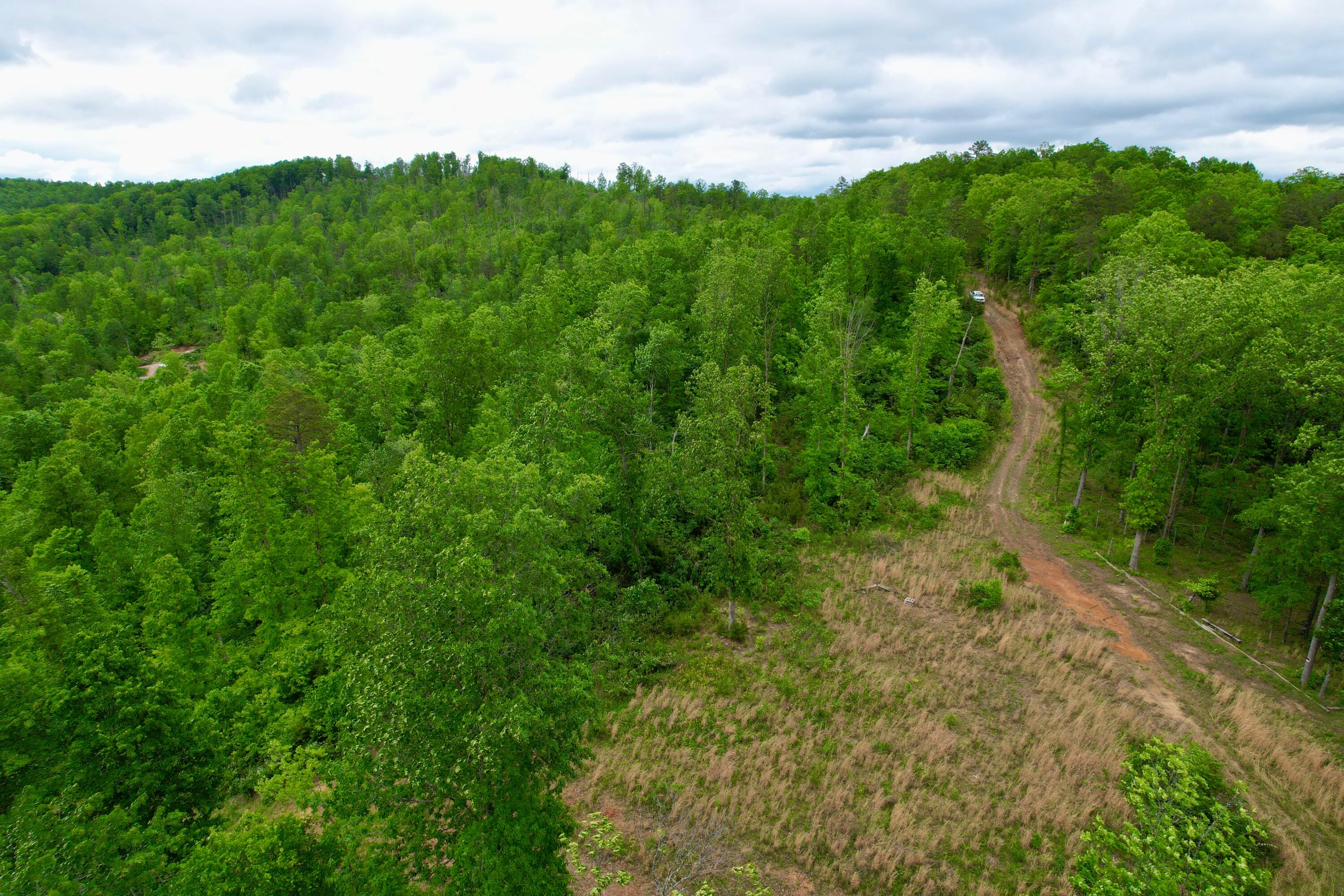 22 Buck Run Ridge Road Property Photo 5