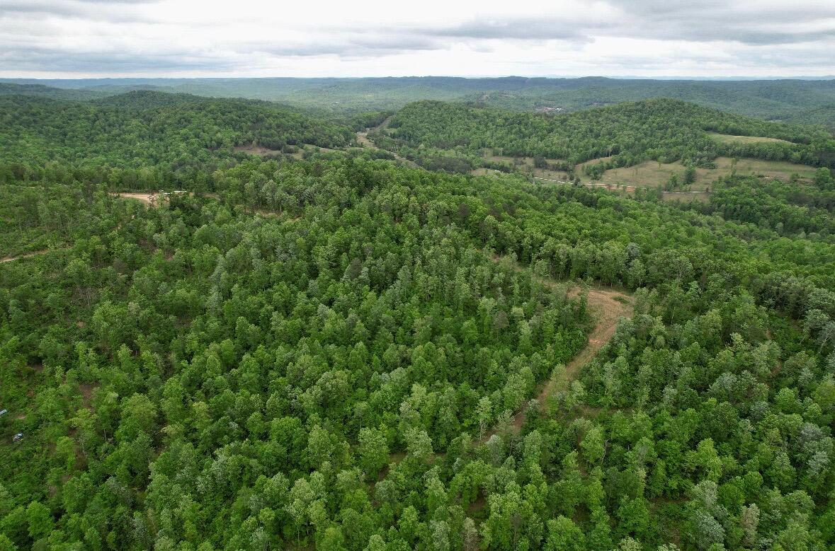 22 Buck Run Ridge Road Property Photo 6