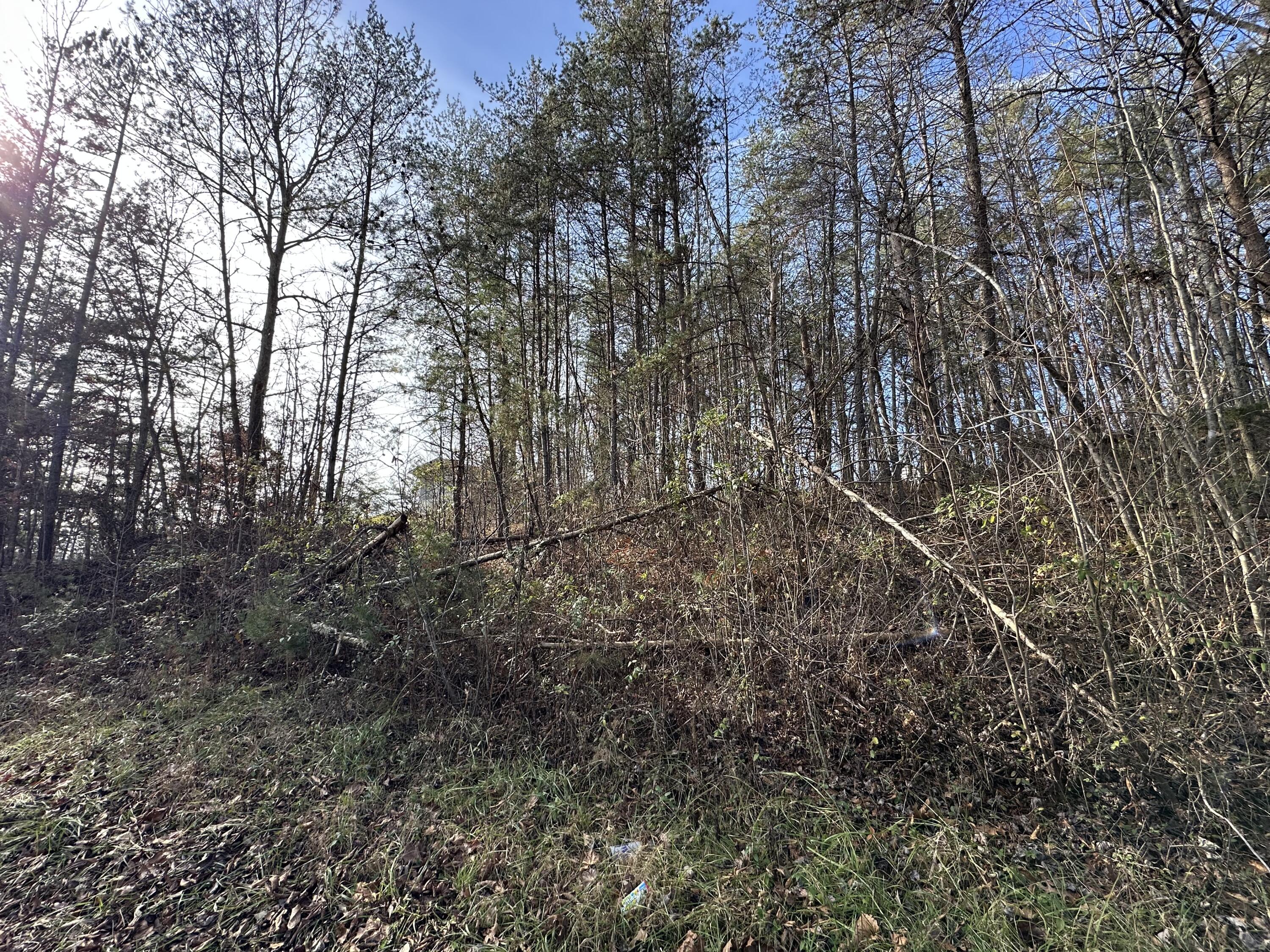 0 Hemlock Subdivision Road Property Photo 1