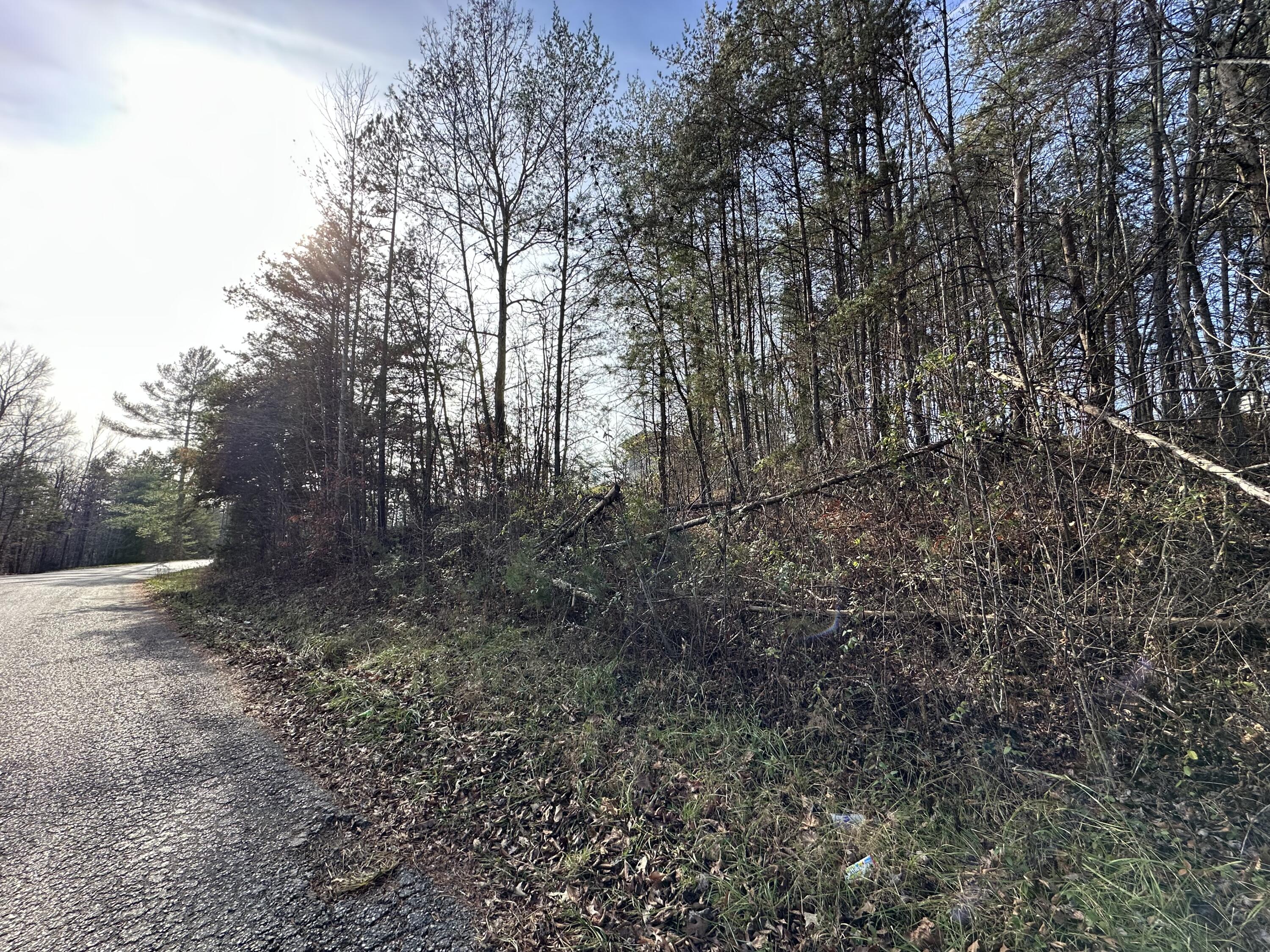 0 Hemlock Subdivision Road Property Photo 2