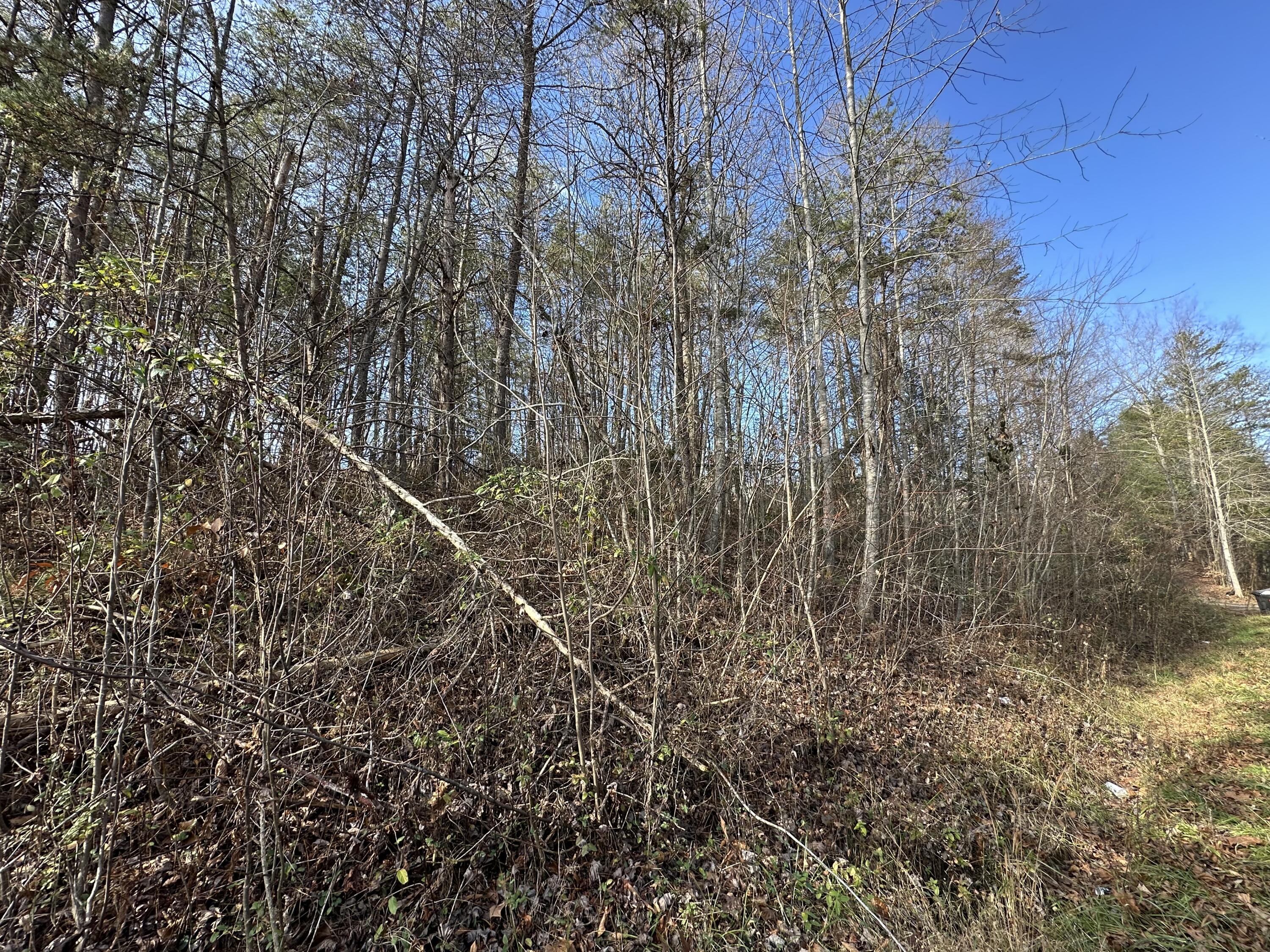 0 Hemlock Subdivision Road Property Photo 3