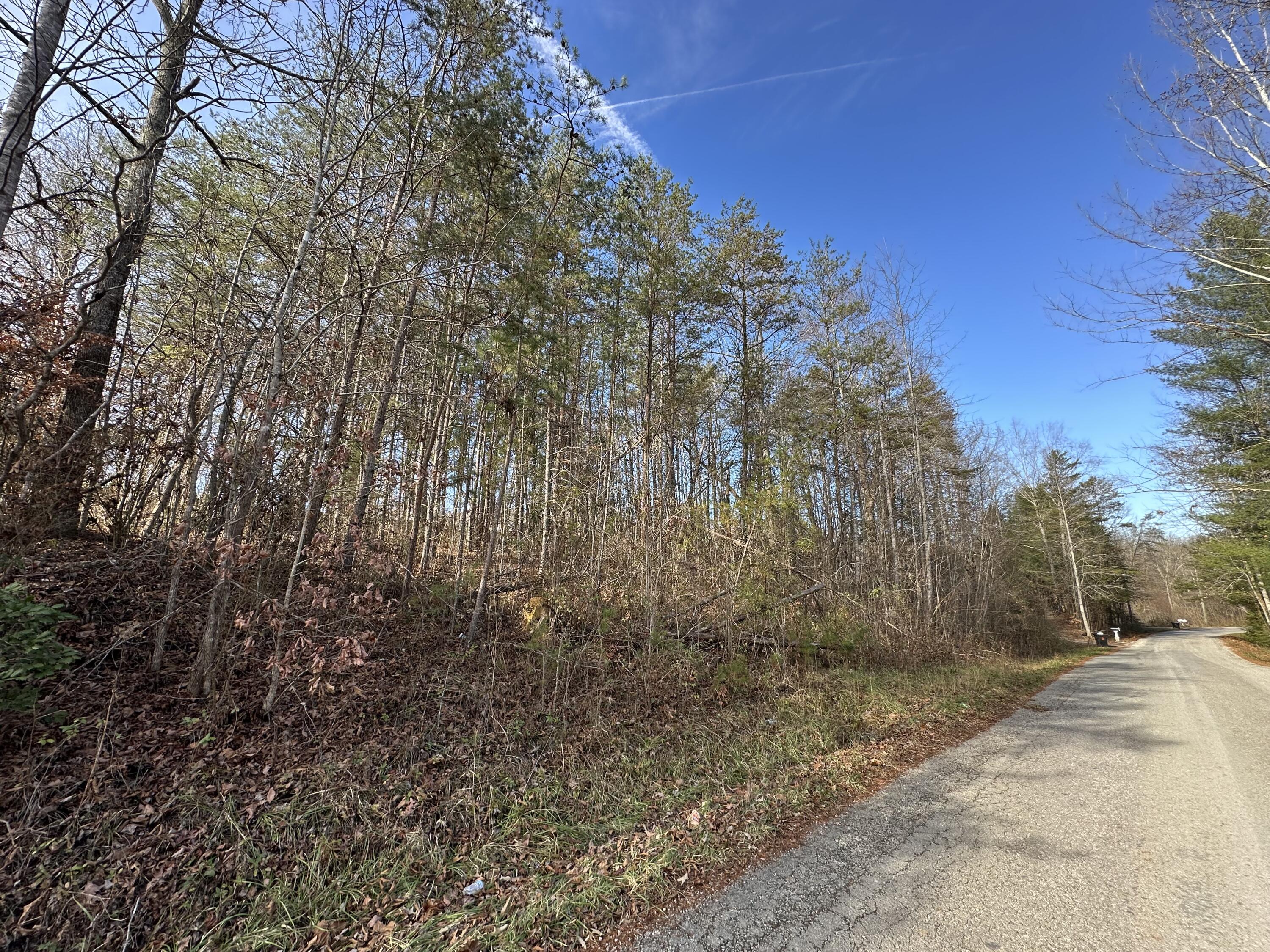 0 Hemlock Subdivision Road Property Photo 4