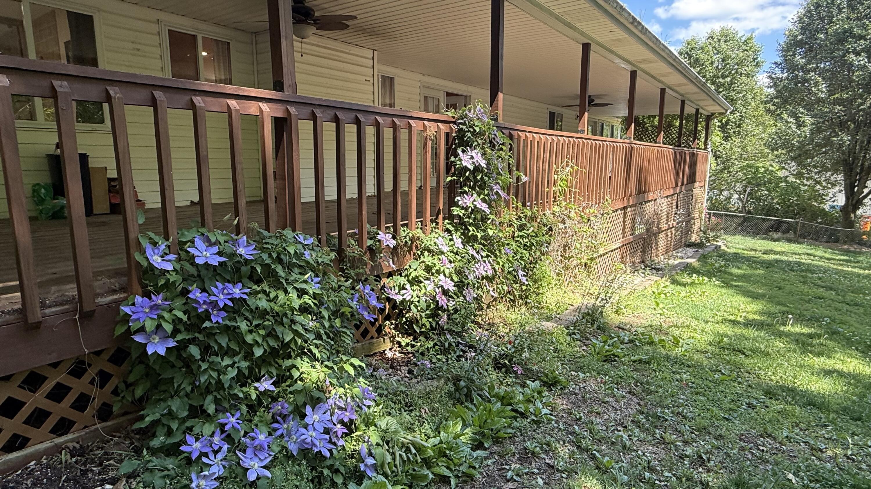 6767 Rush Branch Road Property Photo 35