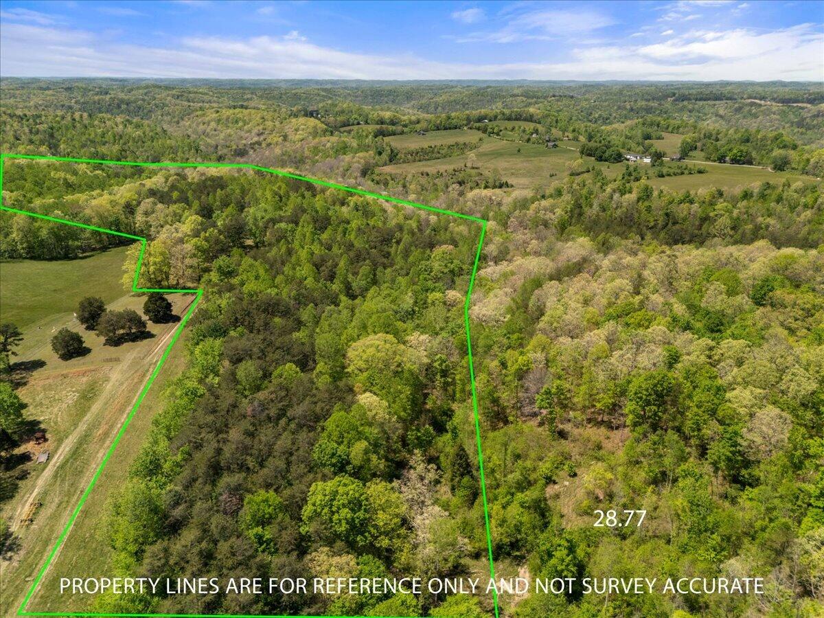 999 Watt Nantz Road Property Photo 3
