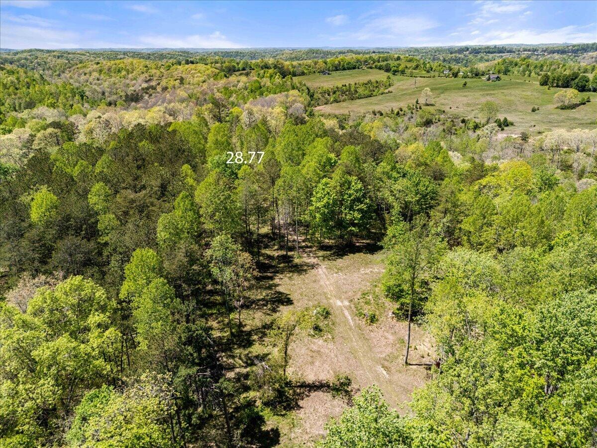 999 Watt Nantz Road Property Photo 12