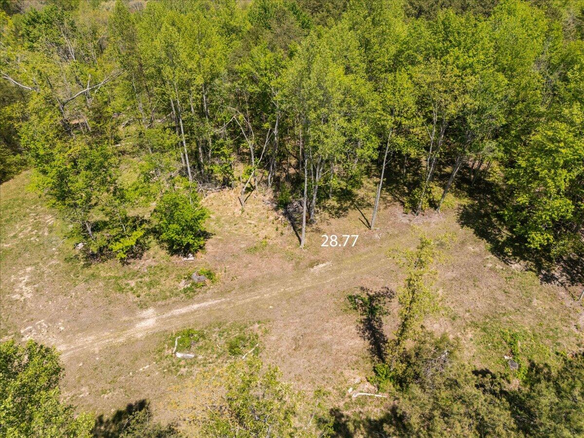 999 Watt Nantz Road Property Photo 13