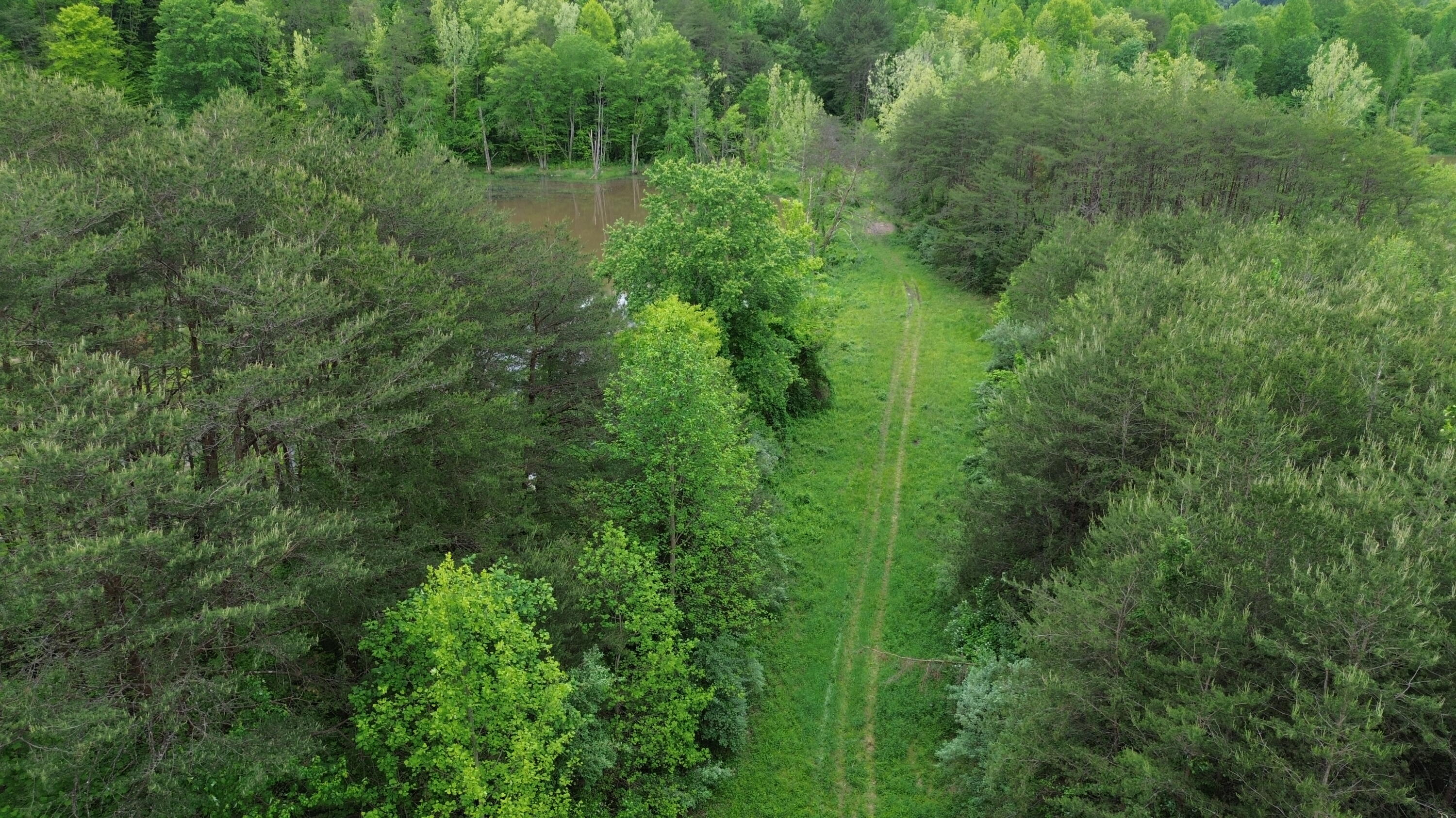 9999 Lick Branch Road Property Photo 8