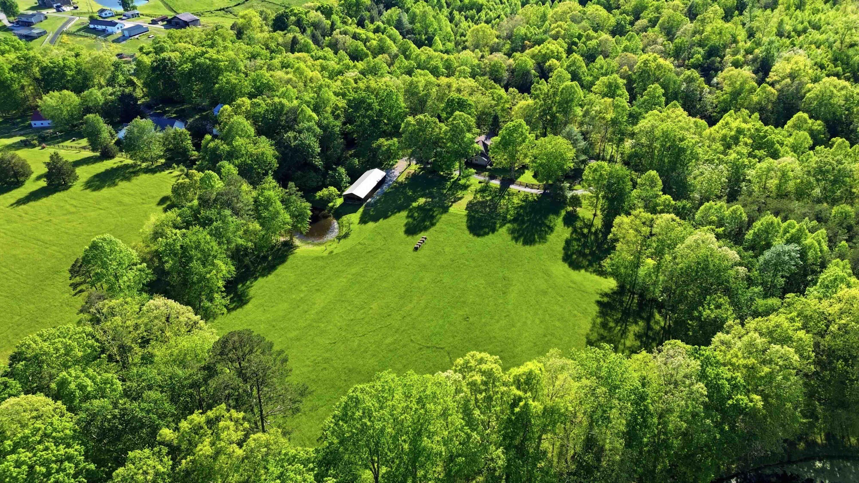 330 Harold Reams Road Property Photo 45