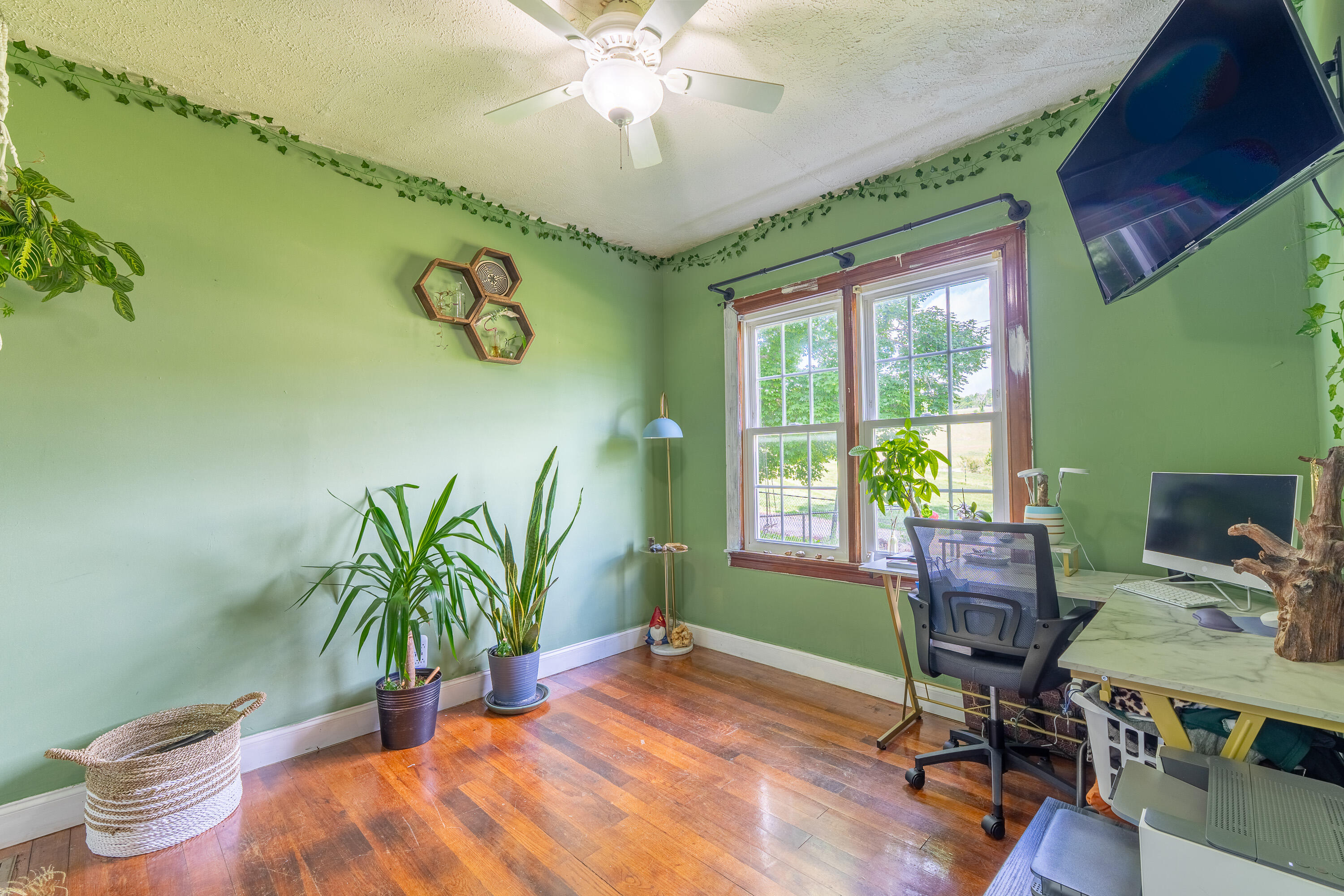 52 Wilson Loop Property Photo 24