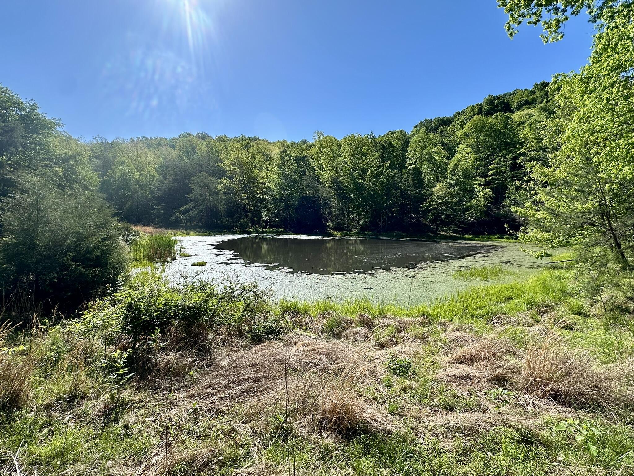 1170 E Doe Creek Road Property Photo 2