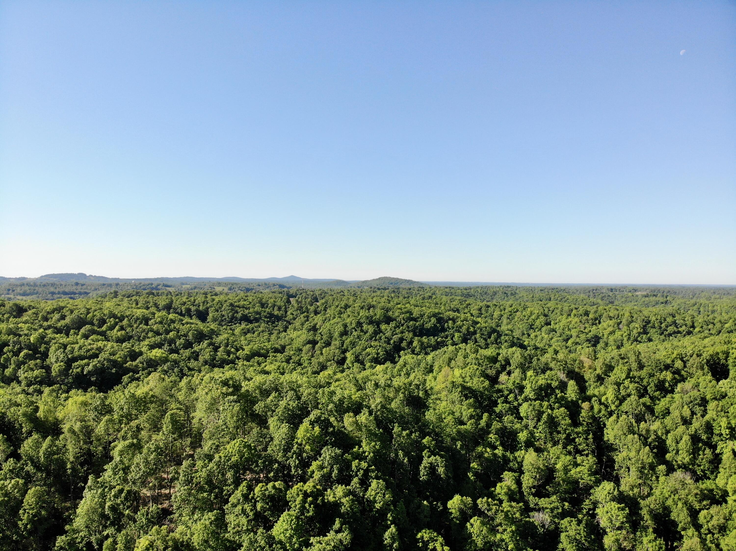 1170 E Doe Creek Road Property Photo 13