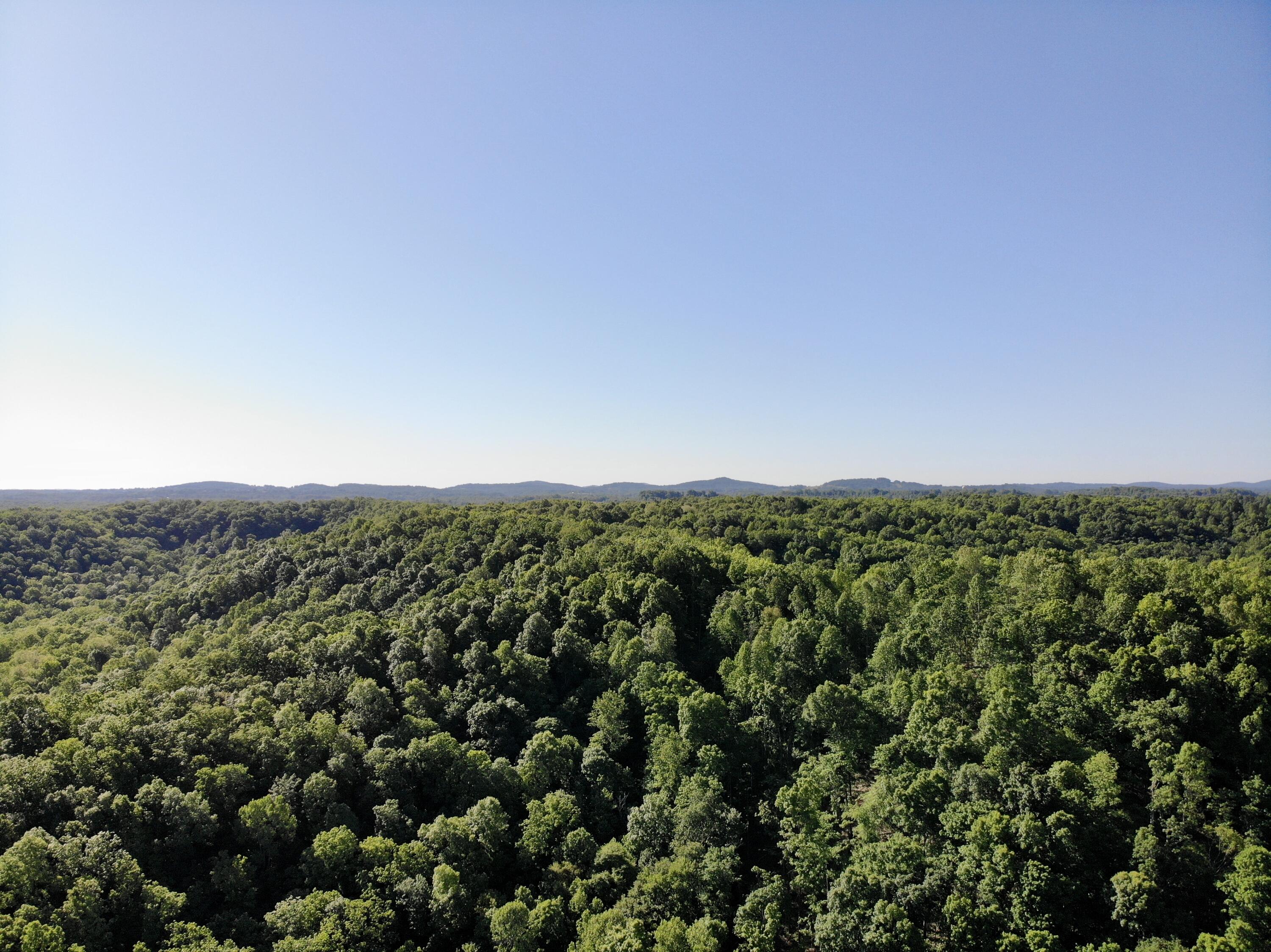 1170 E Doe Creek Road Property Photo 14