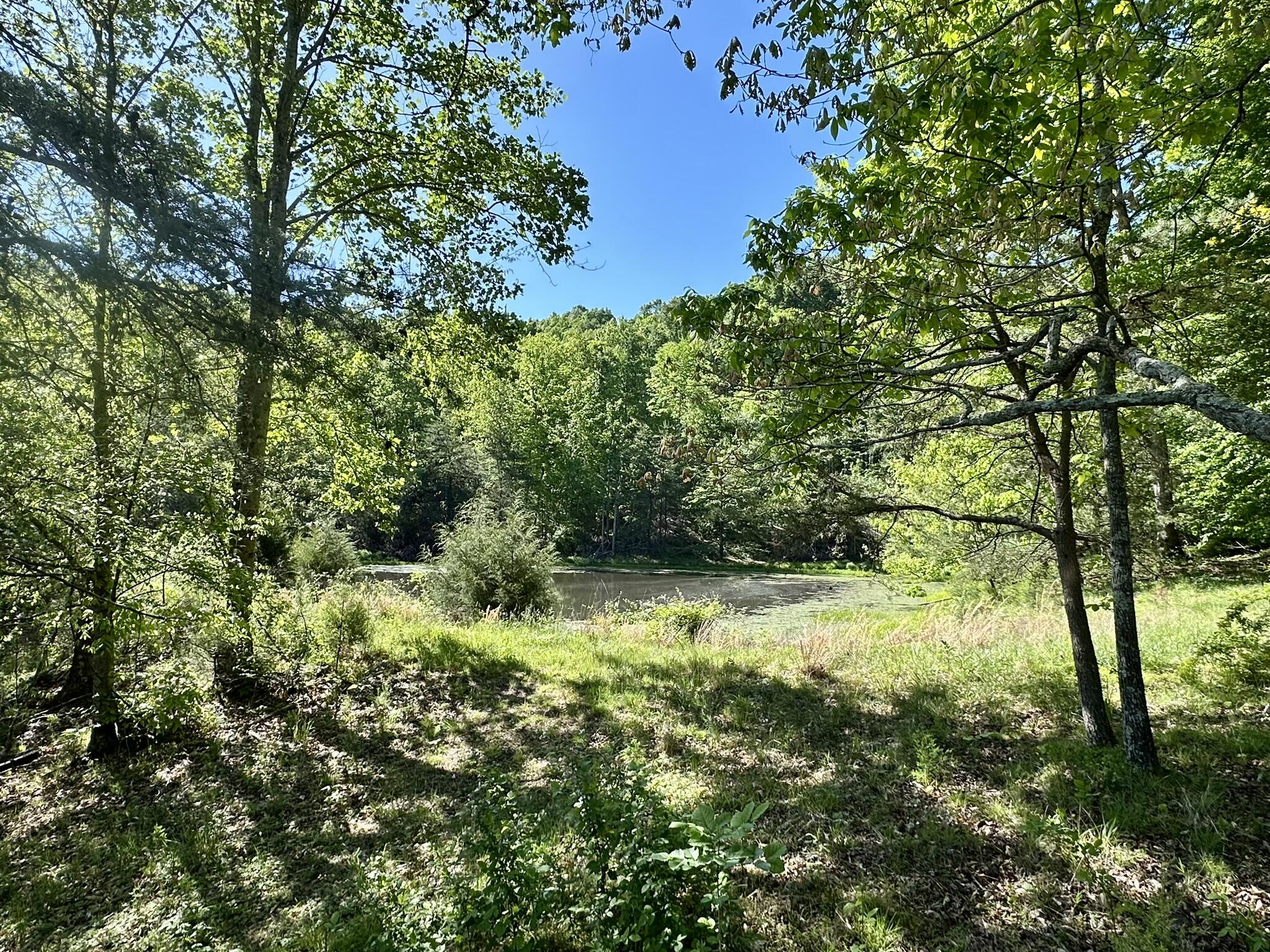 1170 E Doe Creek Road Property Photo 17