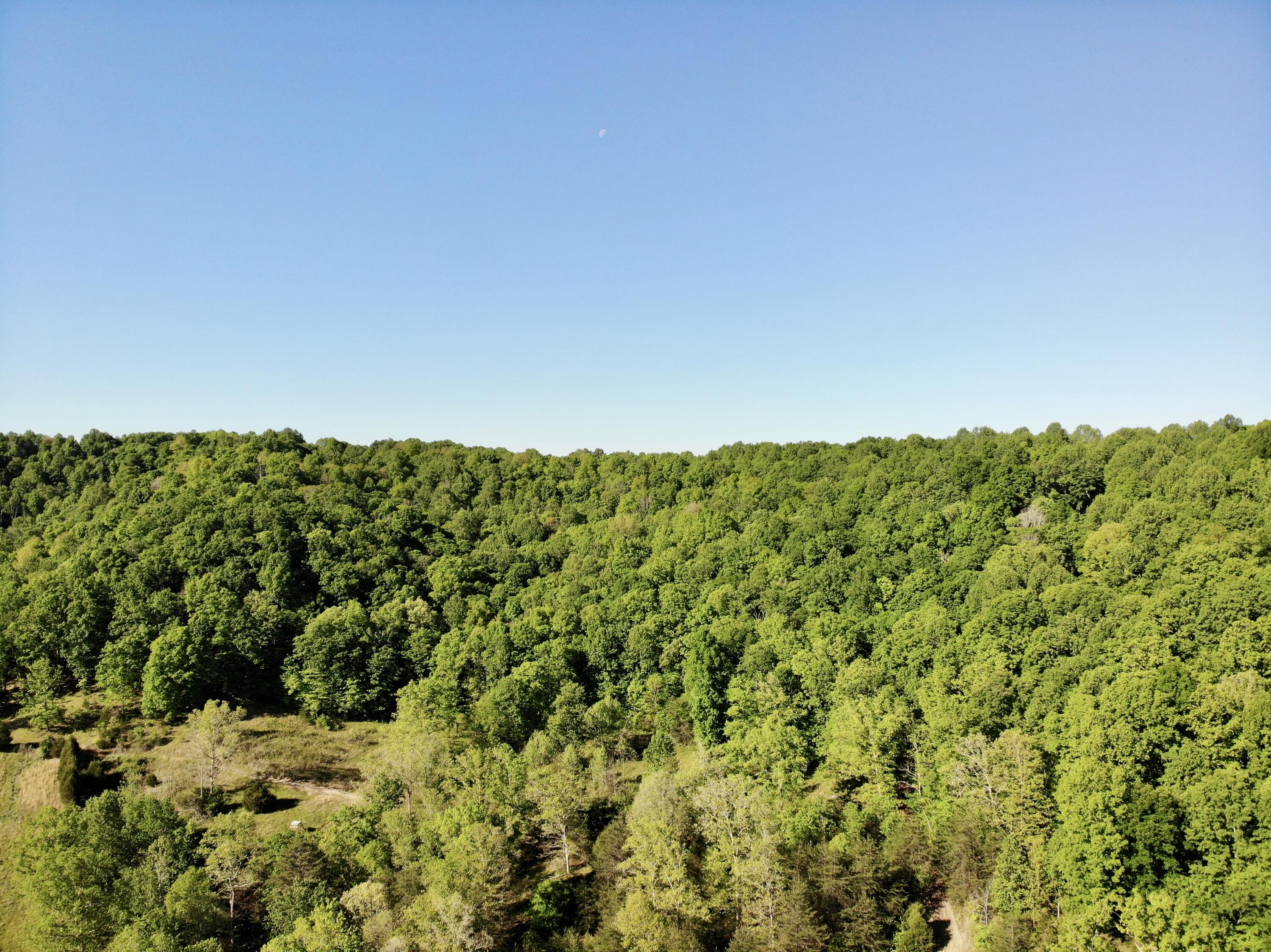 1170 E Doe Creek Road Property Photo 18