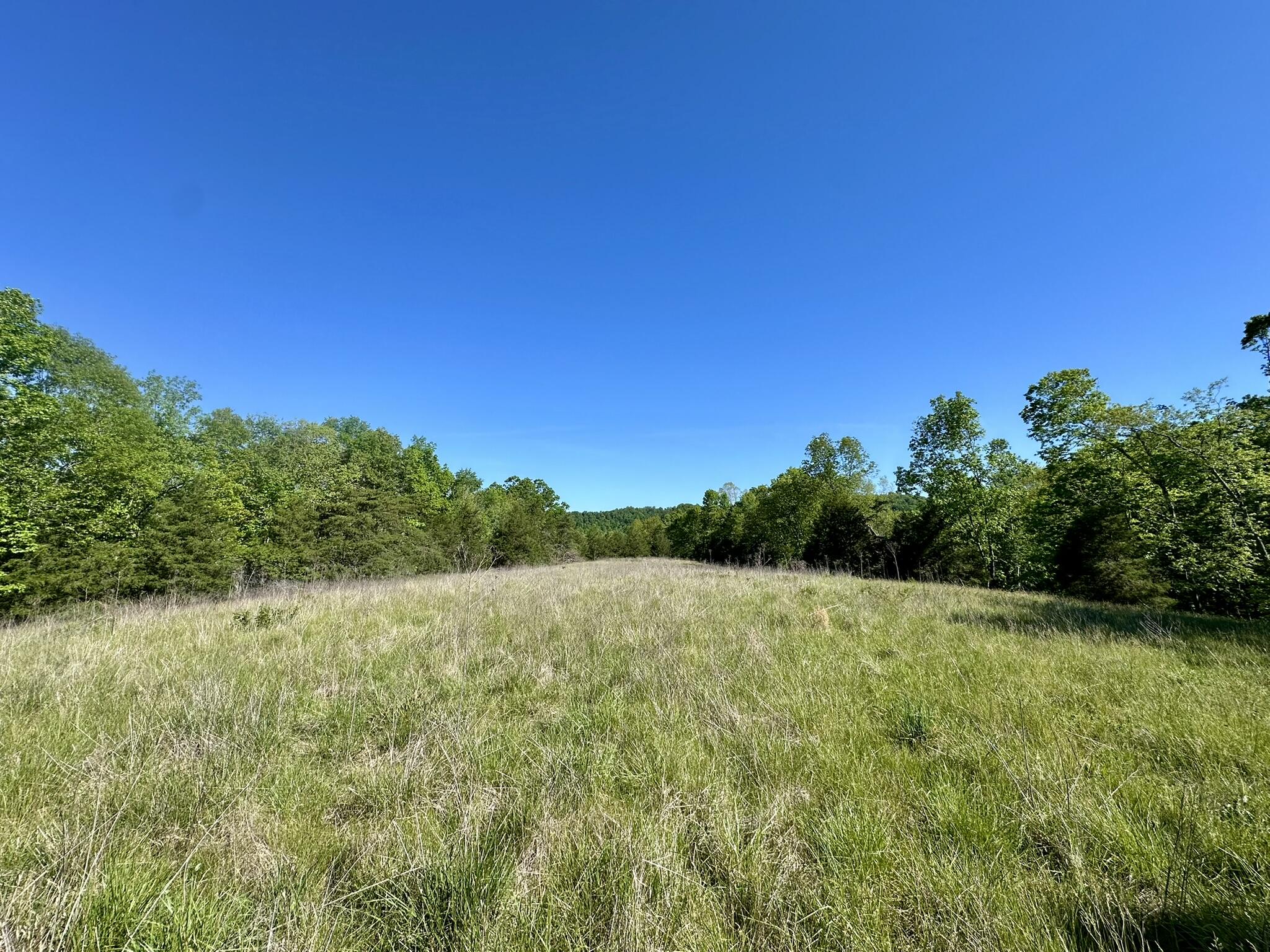 1170 E Doe Creek Road Property Photo 19