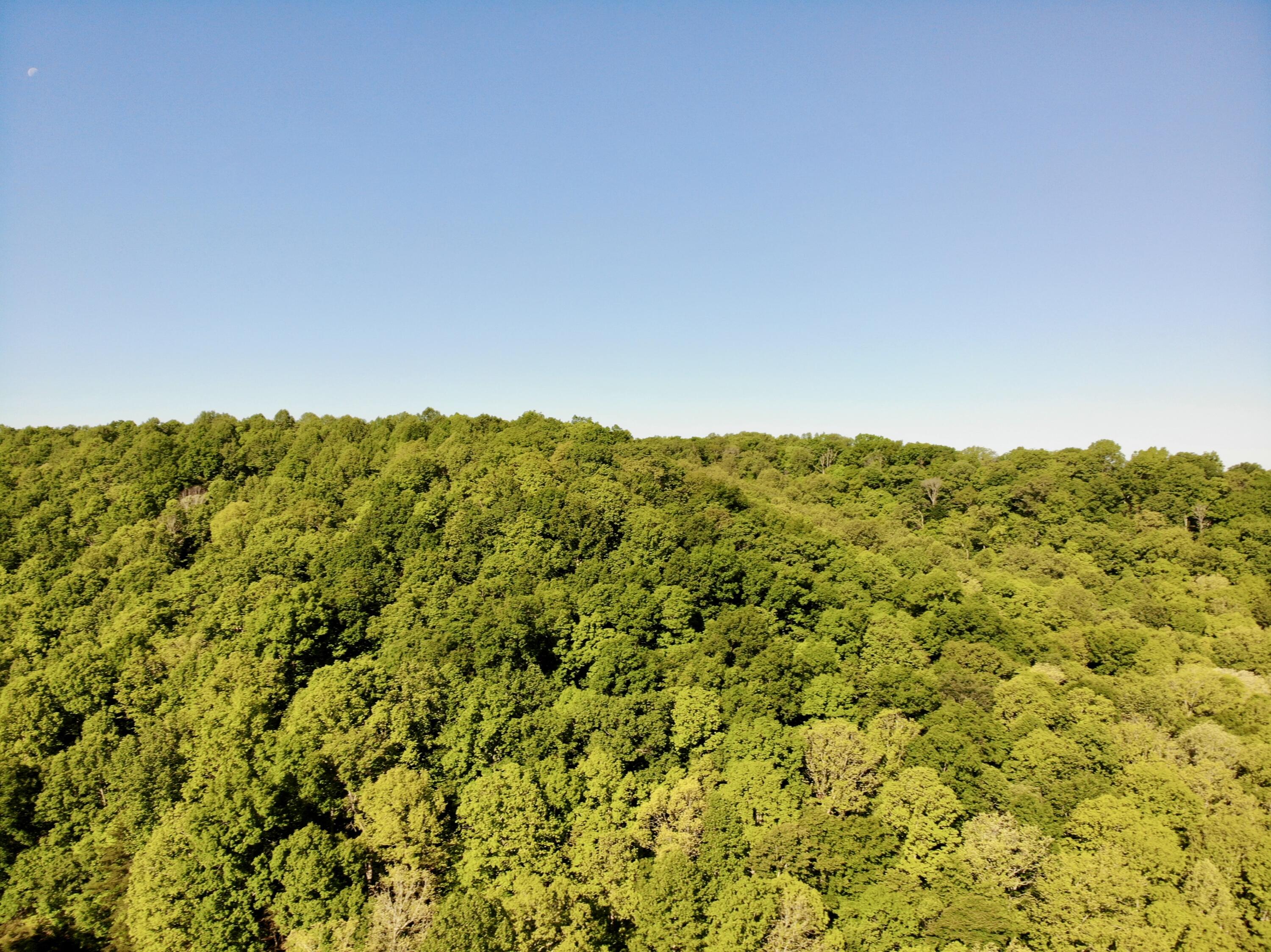 1170 E Doe Creek Road Property Photo 23