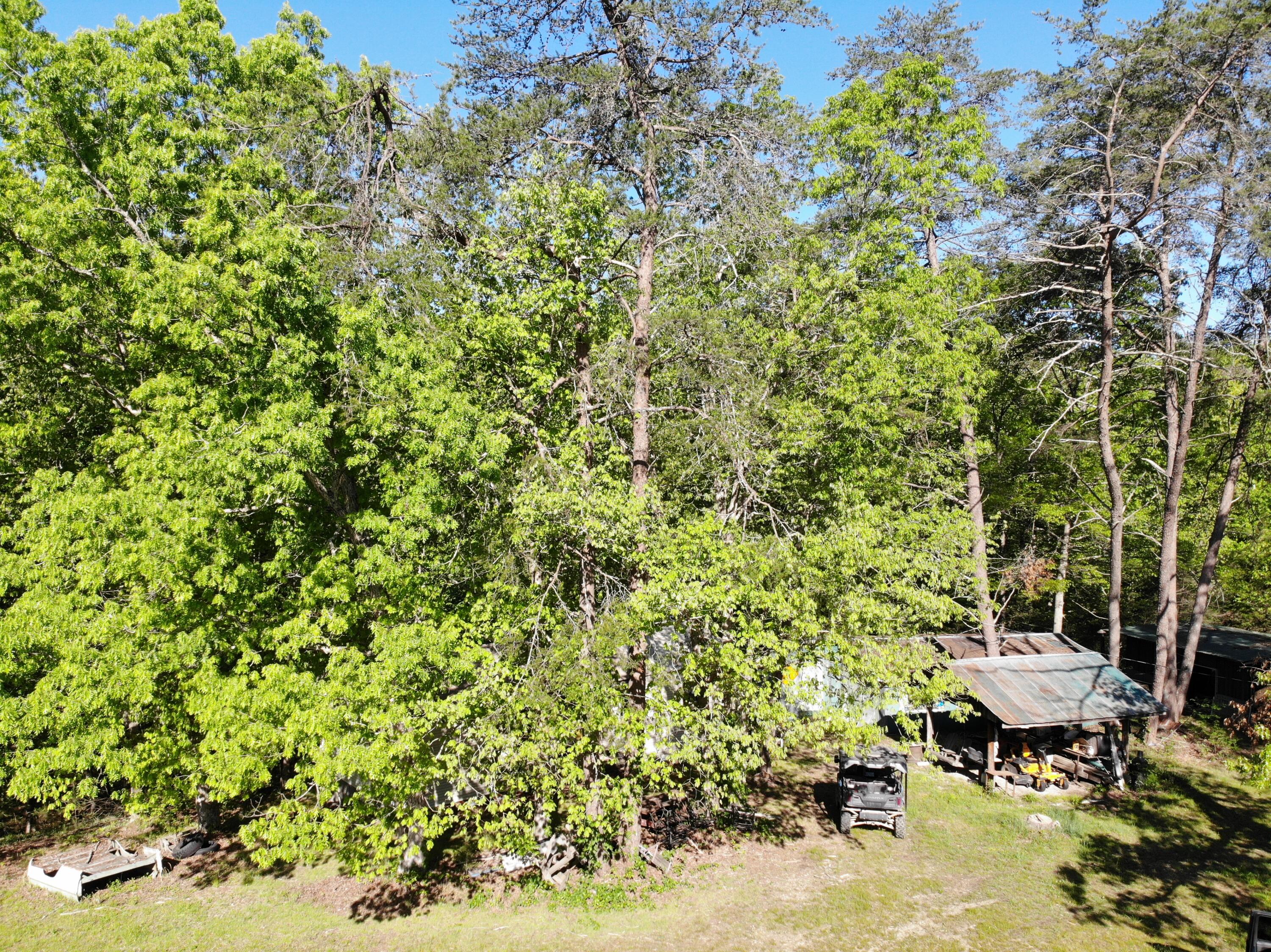 1170 E Doe Creek Road Property Photo 28