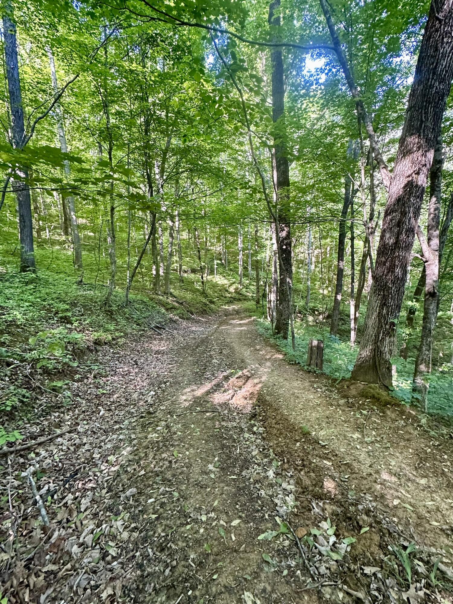 1170 E Doe Creek Road Property Photo 34