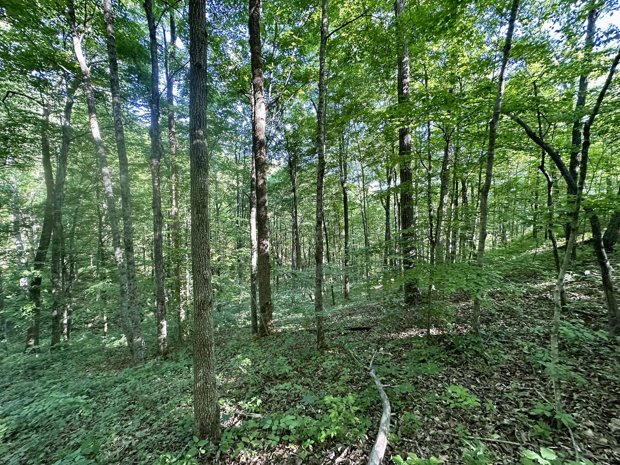 1170 E Doe Creek Road Property Photo 35