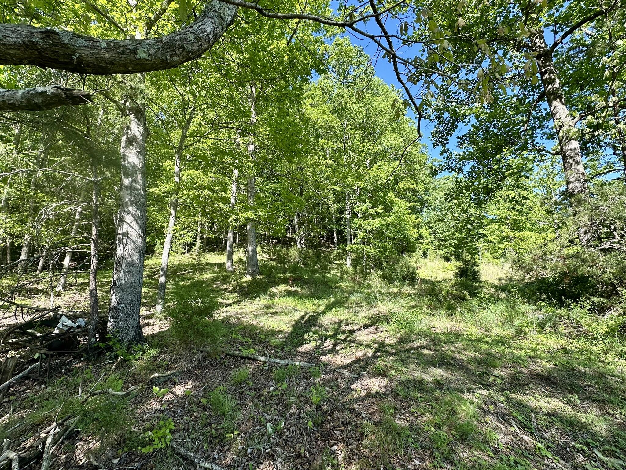 1170 E Doe Creek Road Property Photo 38