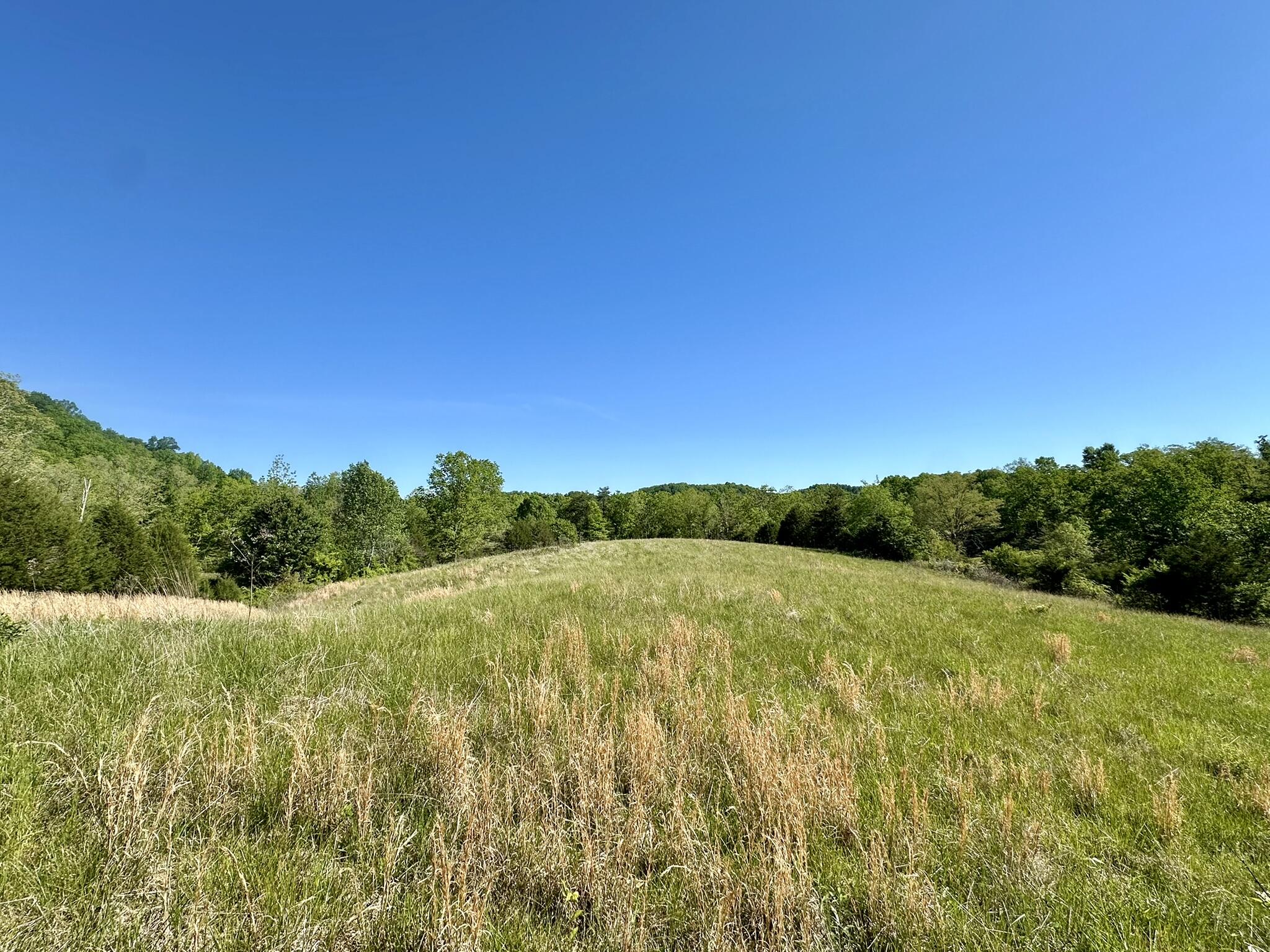 1170 E Doe Creek Road Property Photo 39