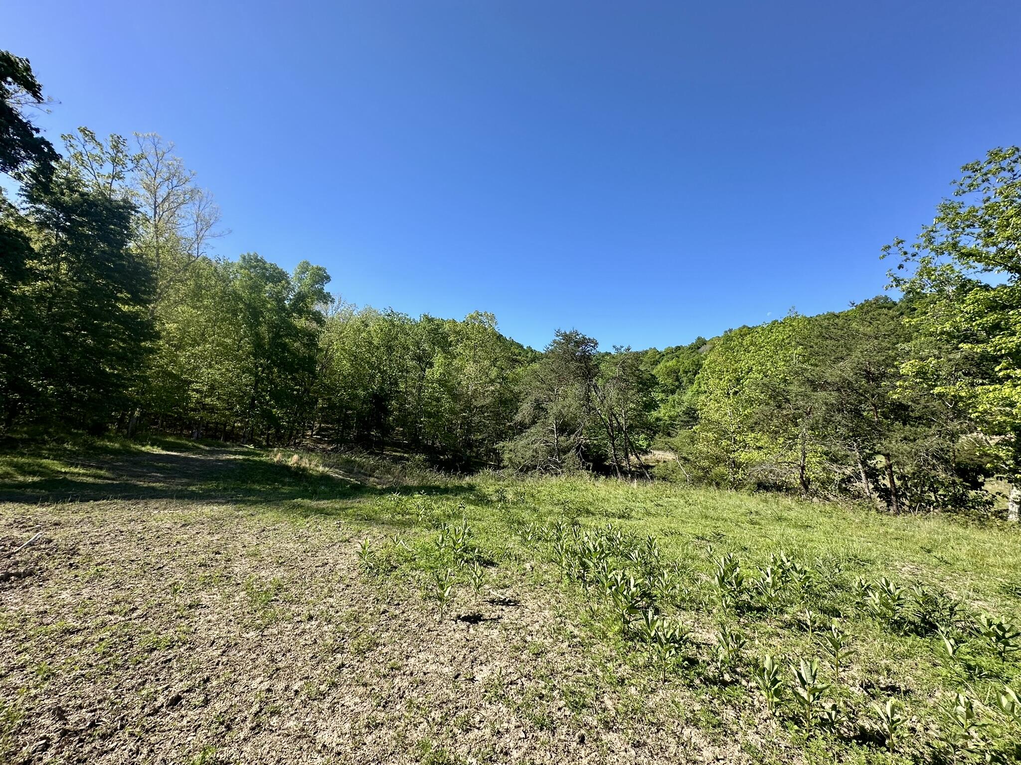 1170 E Doe Creek Road Property Photo 44